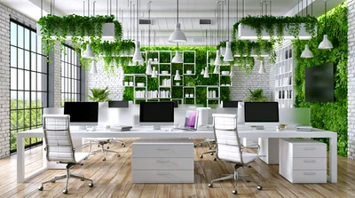 Modern Office Interior With Green Living Walls