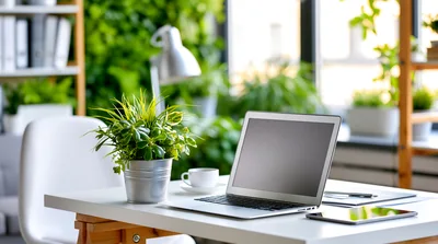 Modern Home Office Desk With Laptop And Potted Plant