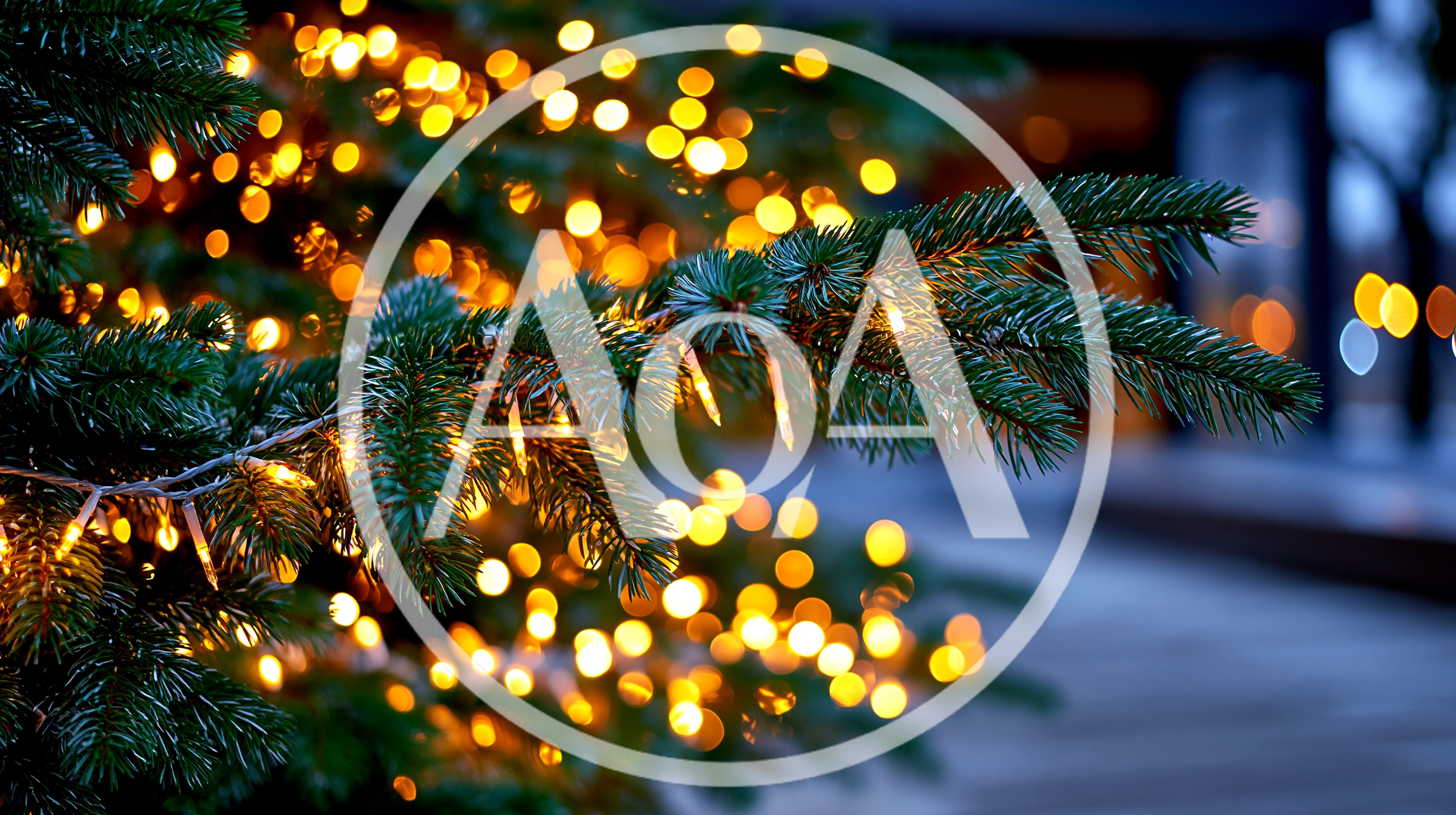 Christmas Tree Branches Decorated With Warm Glowing Fairy Lights