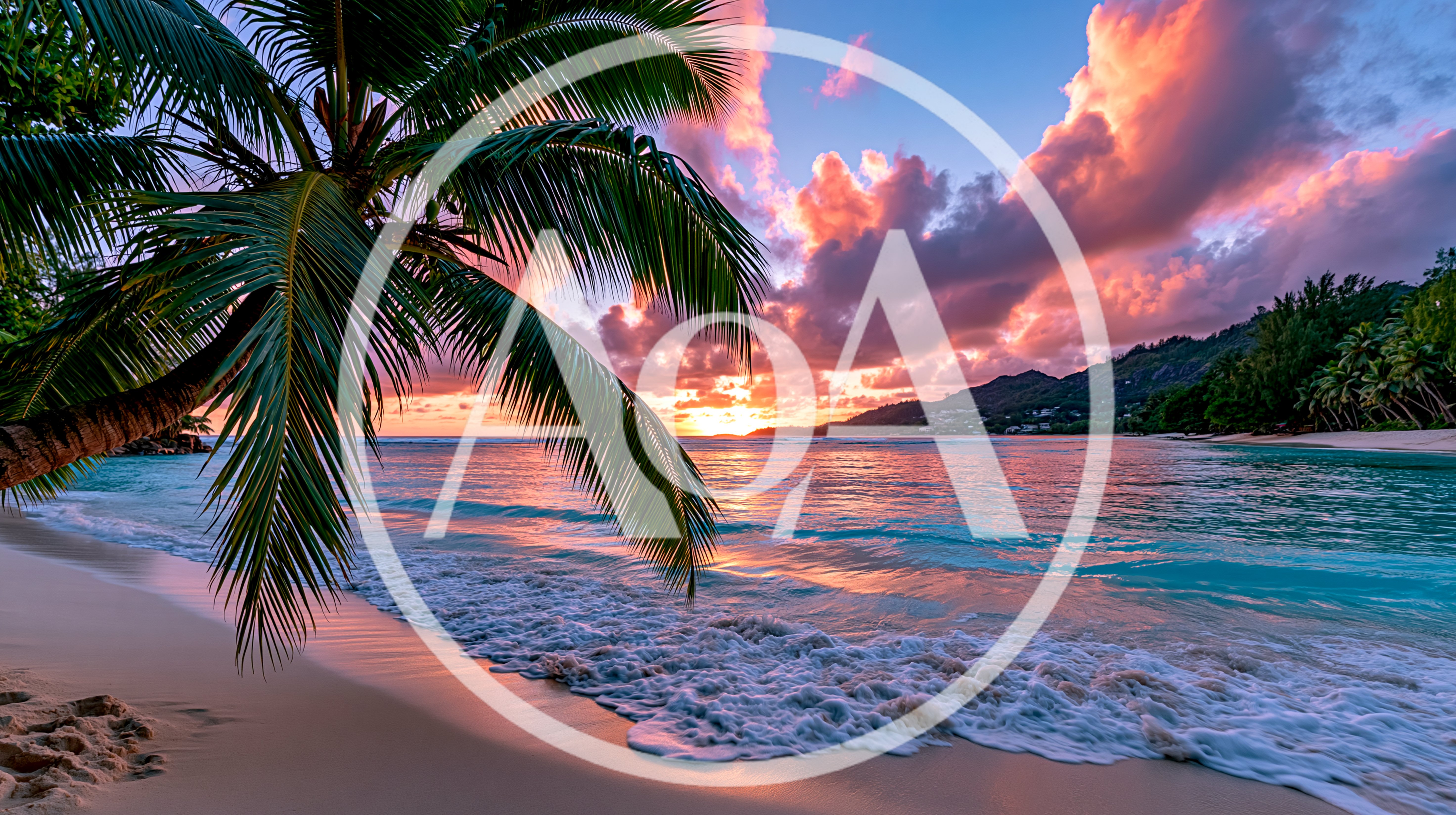 Tropical Beach Sunset With Palm Tree Silhouette