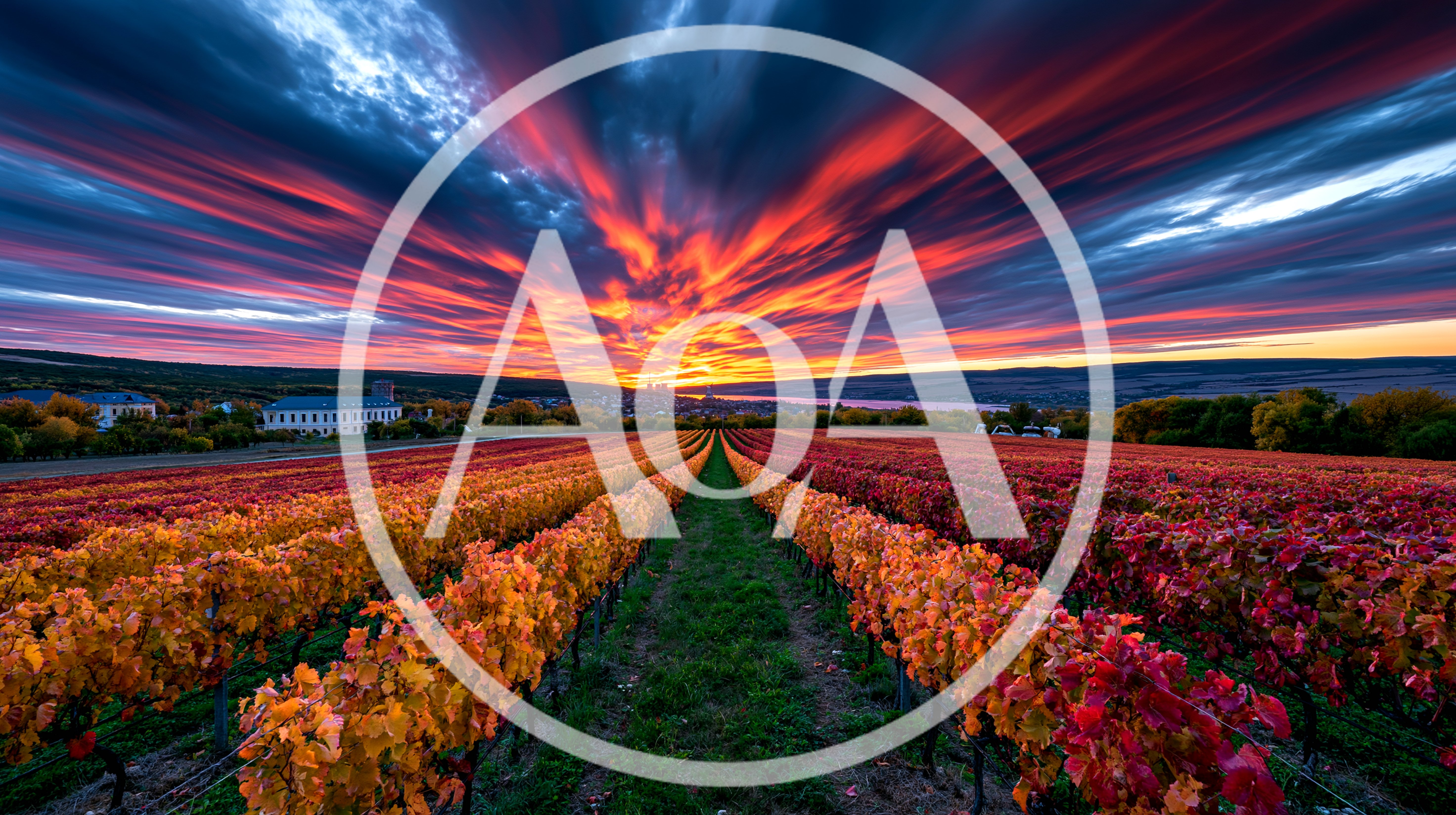 Vibrant Autumn Vineyard Landscape At Sunset