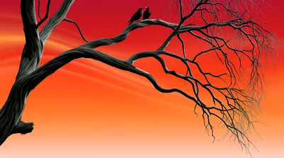Two Black Birds Perched On A Bare Tree Branch