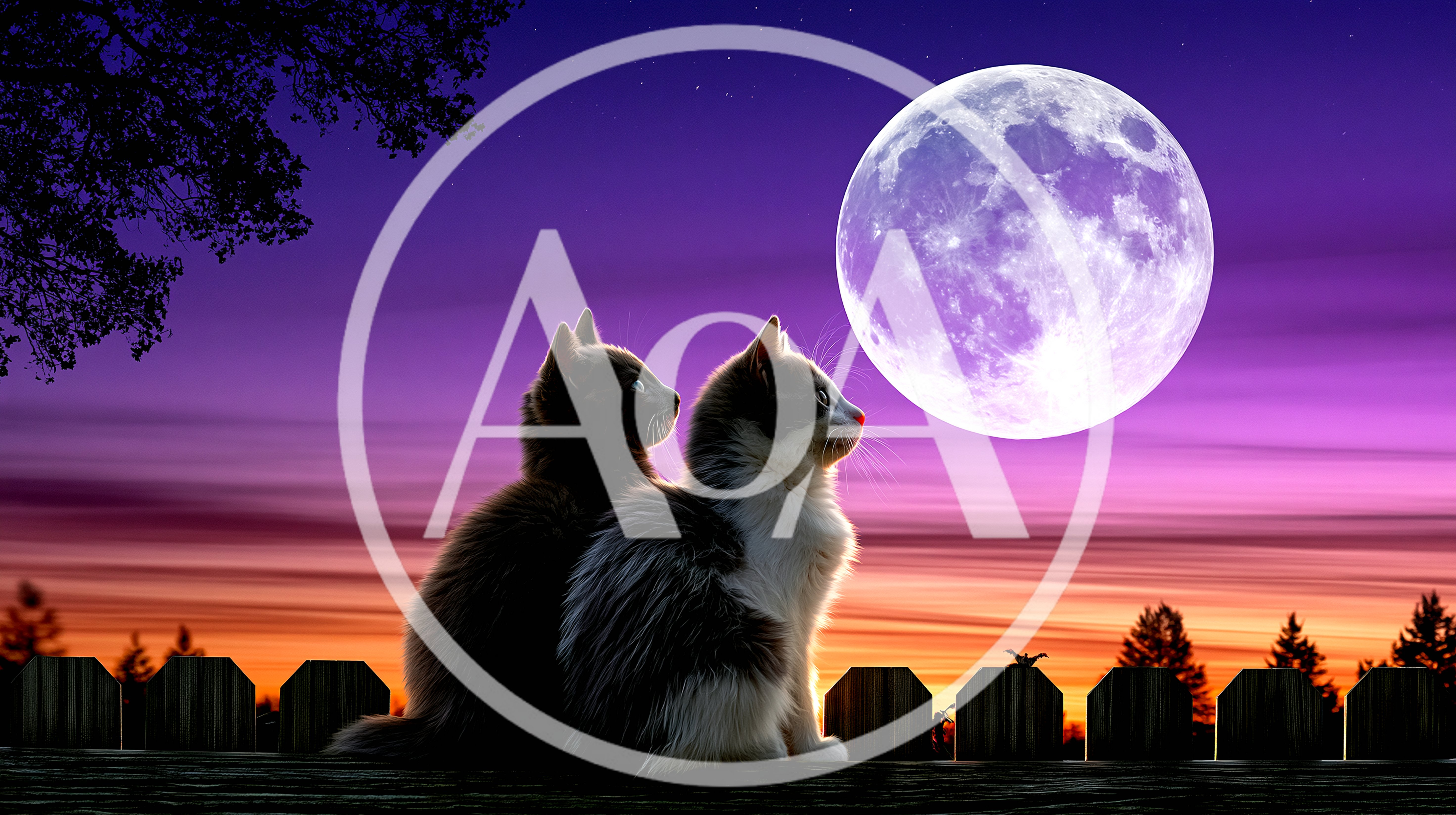 Two Cats Sitting Together Watching The Full Moon