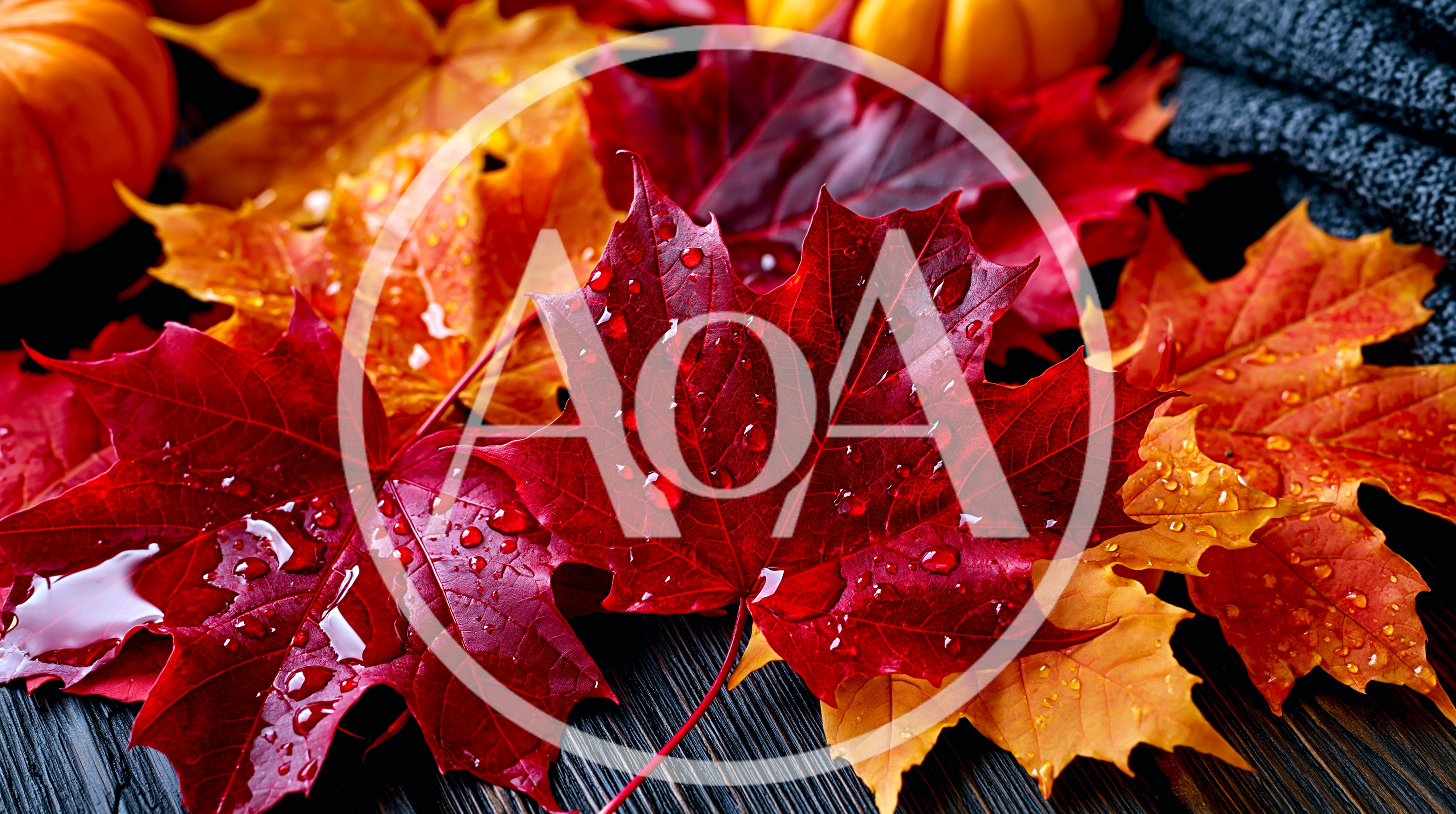 Wet Autumn Maple Leaves On Dark Wooden Surface