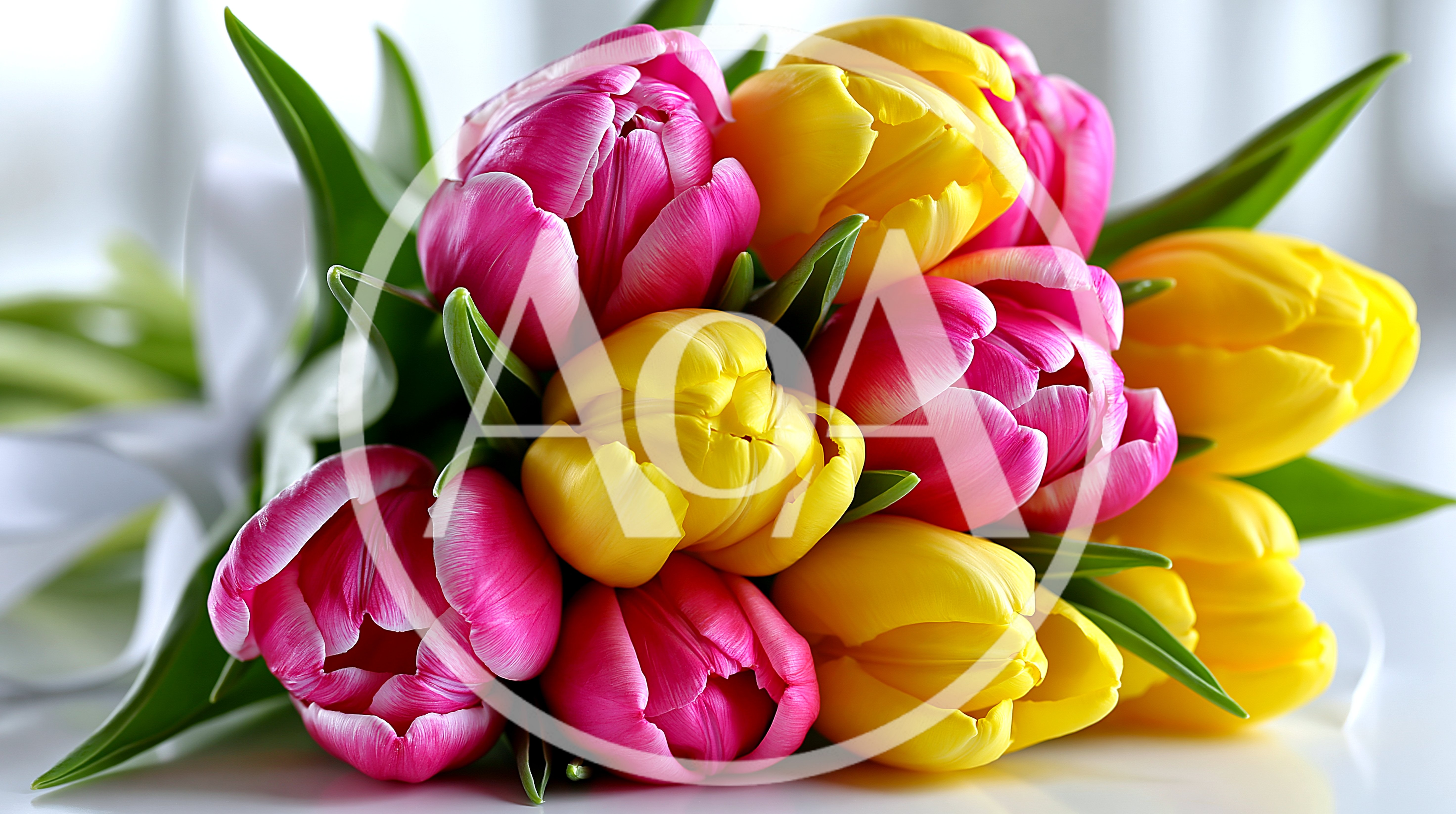 Bouquet Of Vibrant Pink And Yellow Tulips