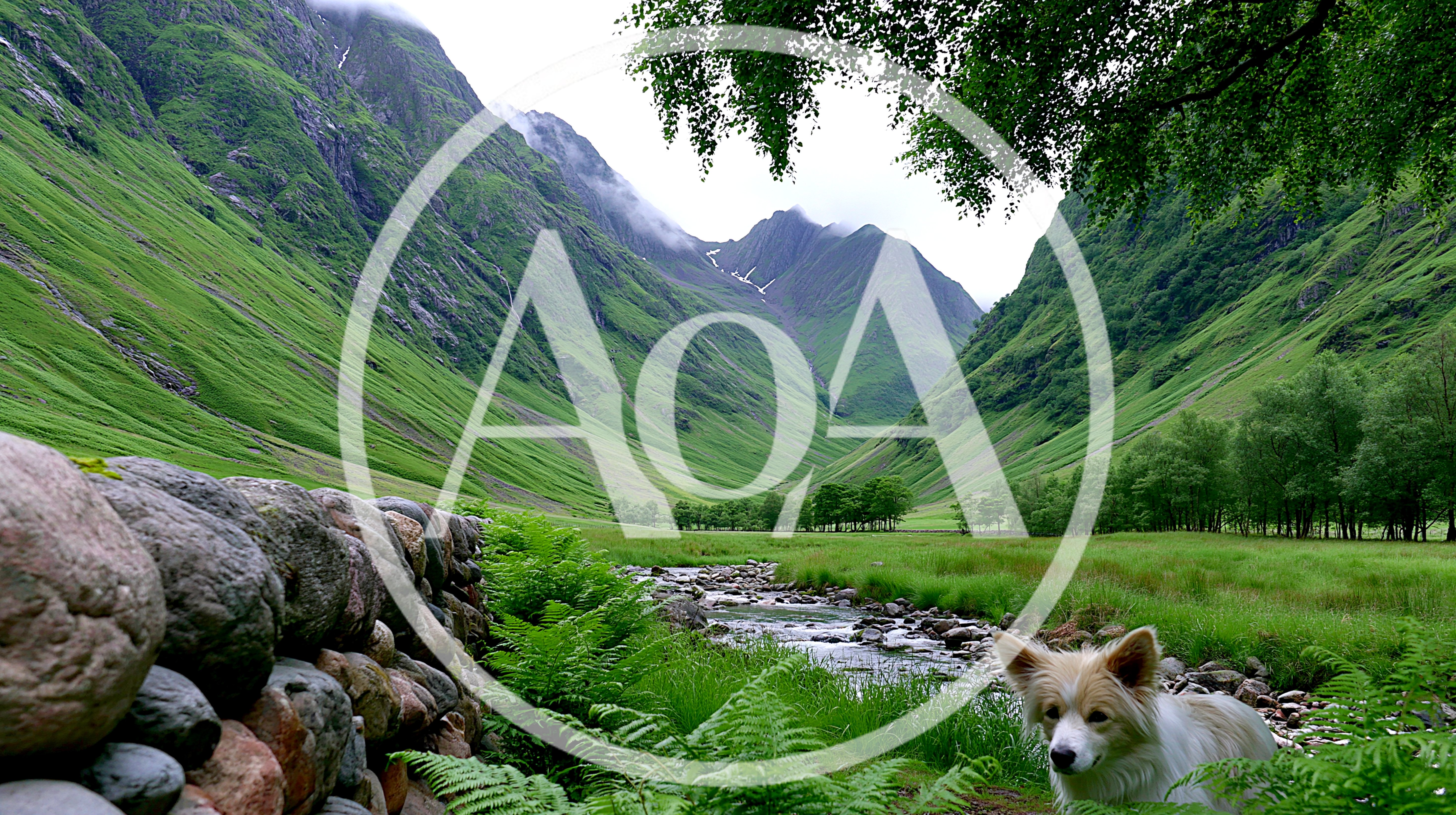 Border Collie Sitting By A Stream In Glen Coe
