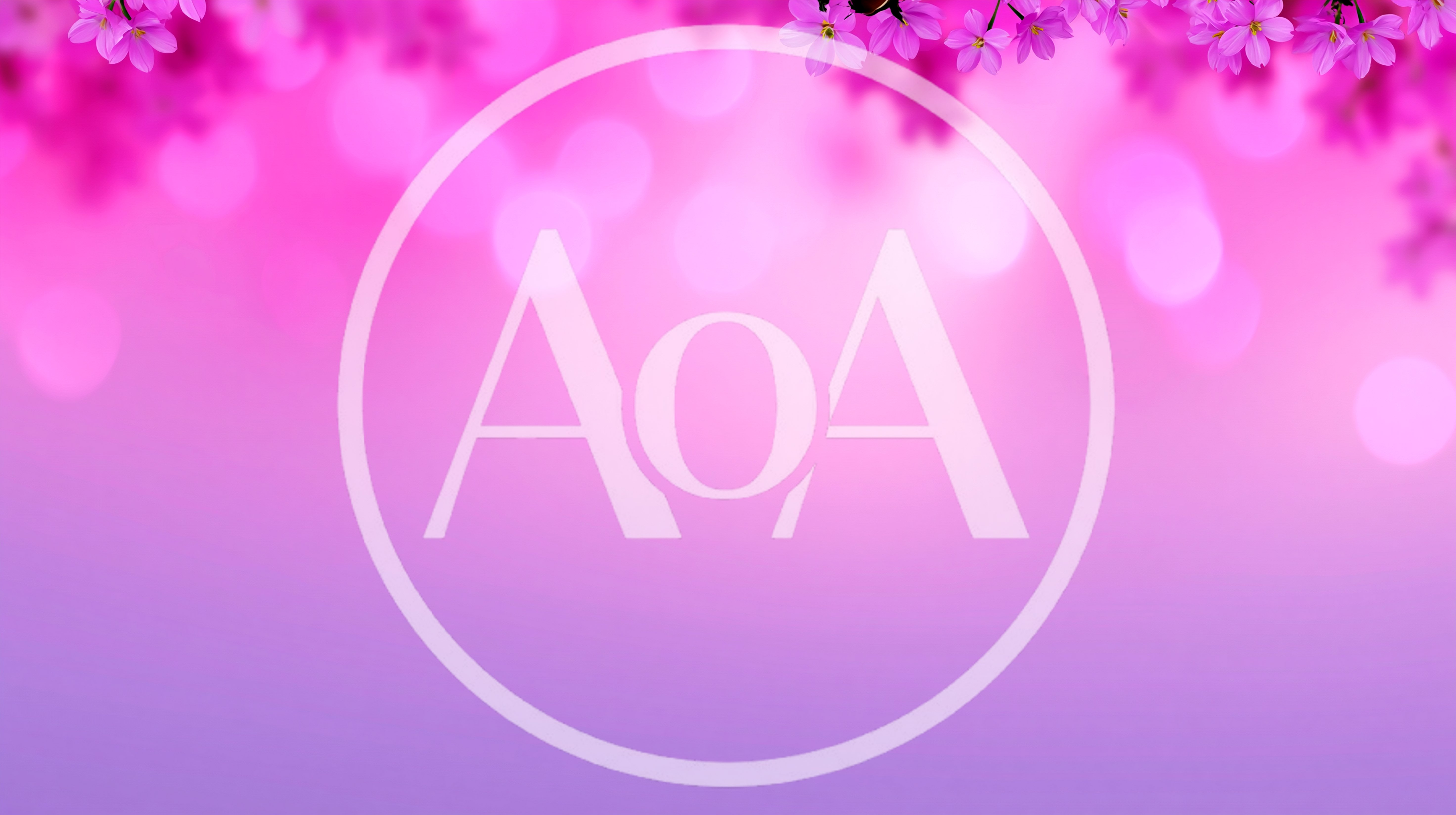 Pink Cherry Blossom Flowers Border Background