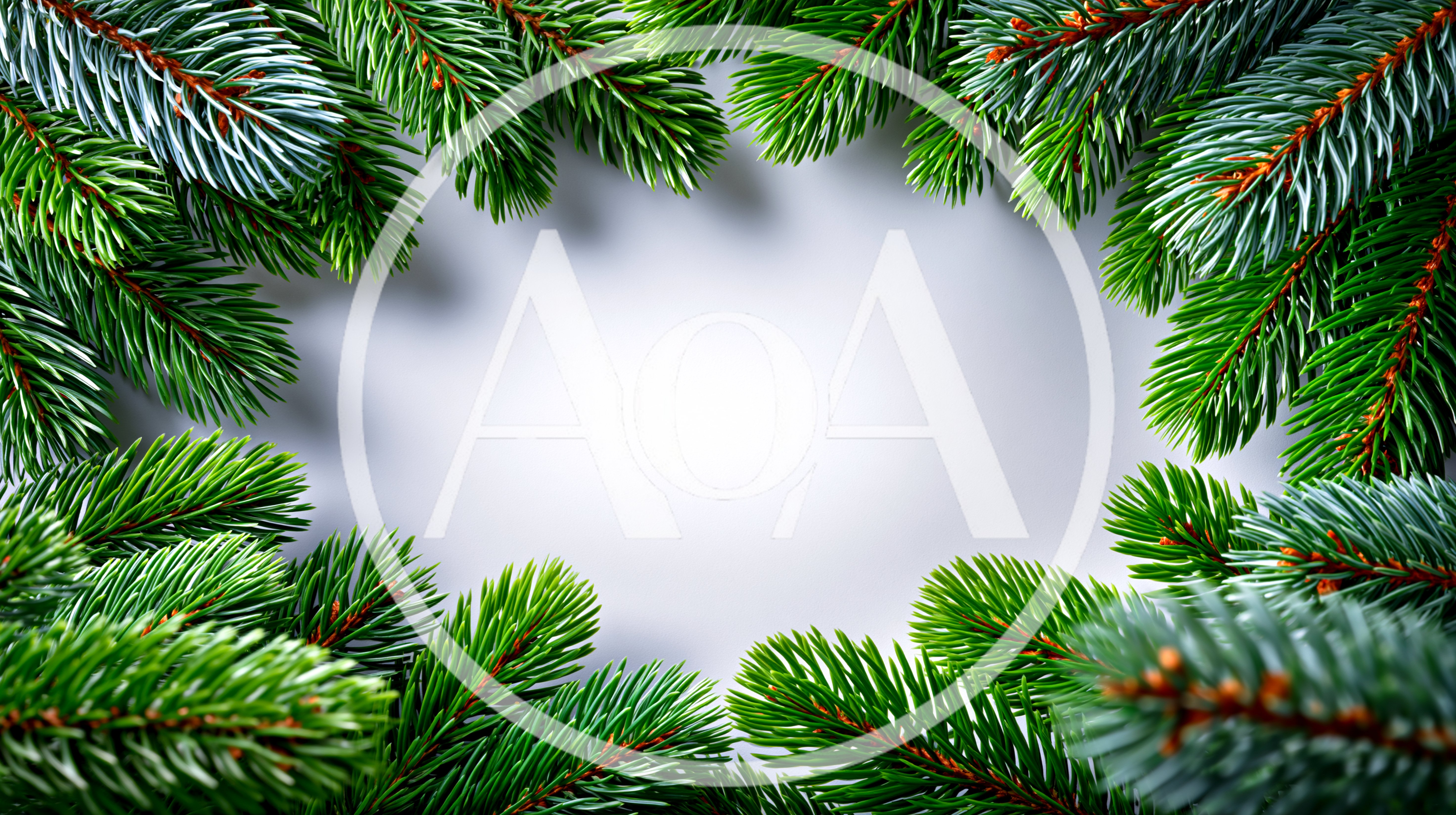 Christmas Pine Tree Branch Border Frame