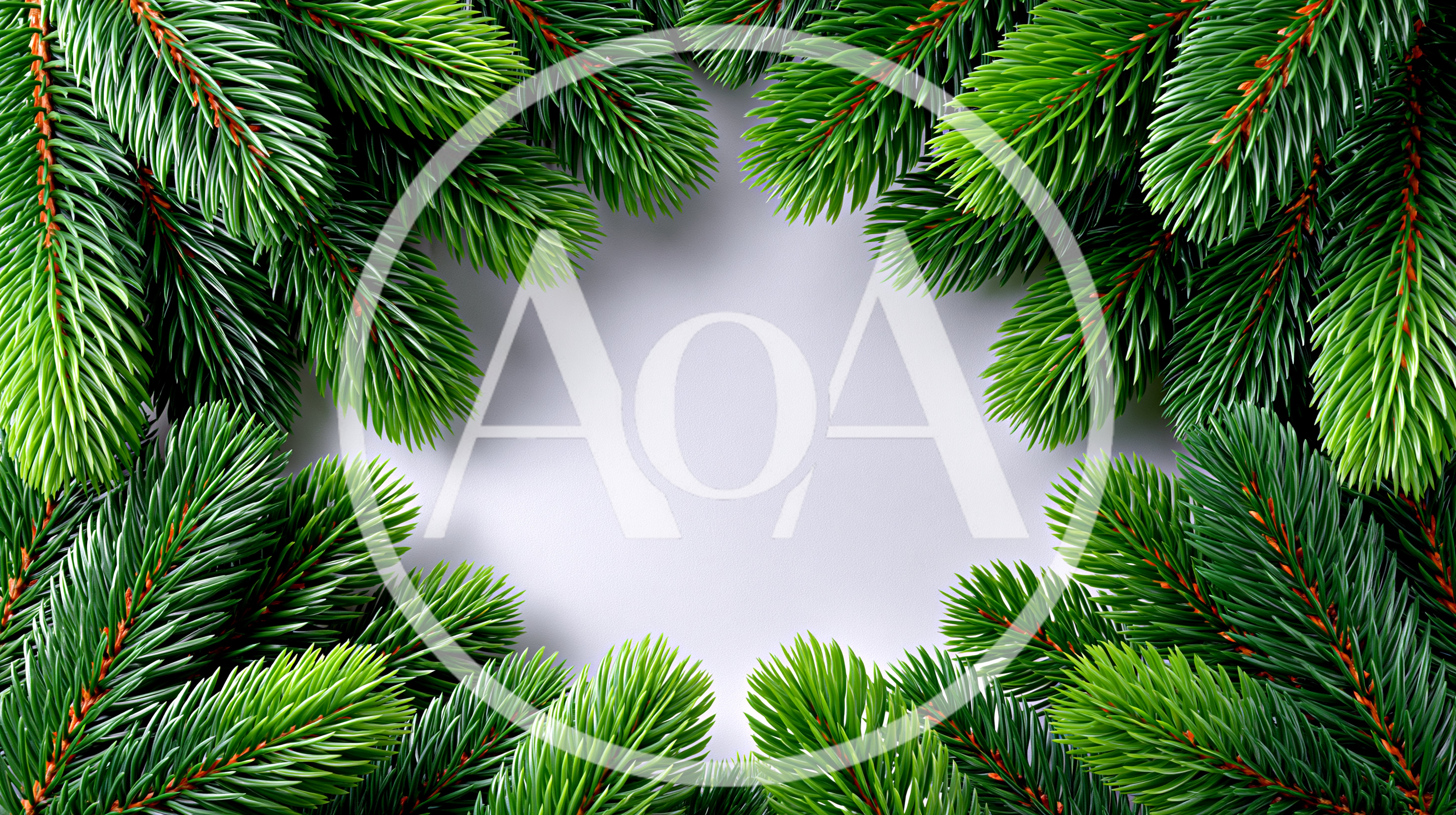 Christmas Pine Tree Branches Border Frame