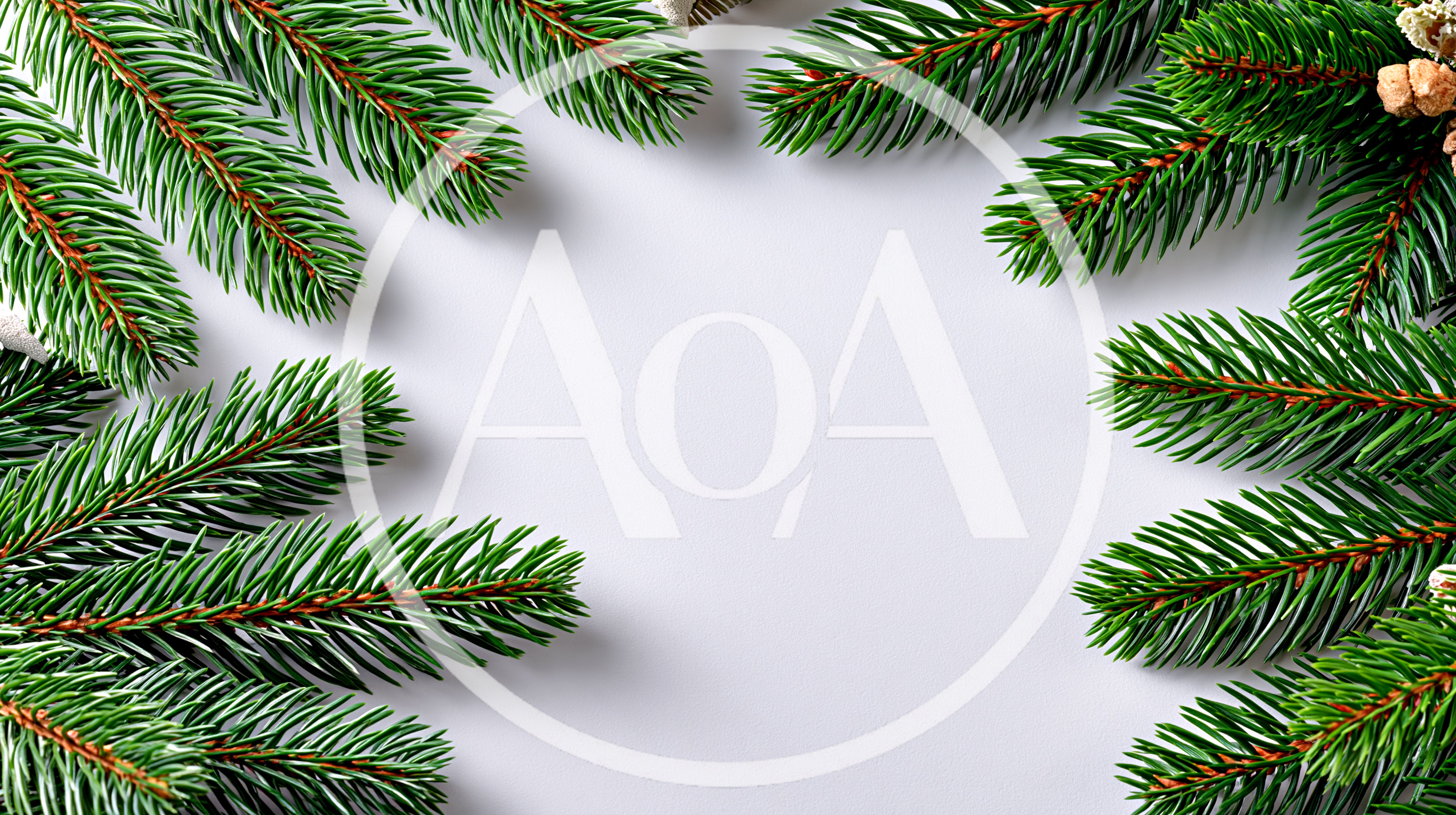 Christmas Pine Branch Border On White Background