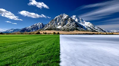 Split Screen Landscape Showing Summer Grass And Winter Snow