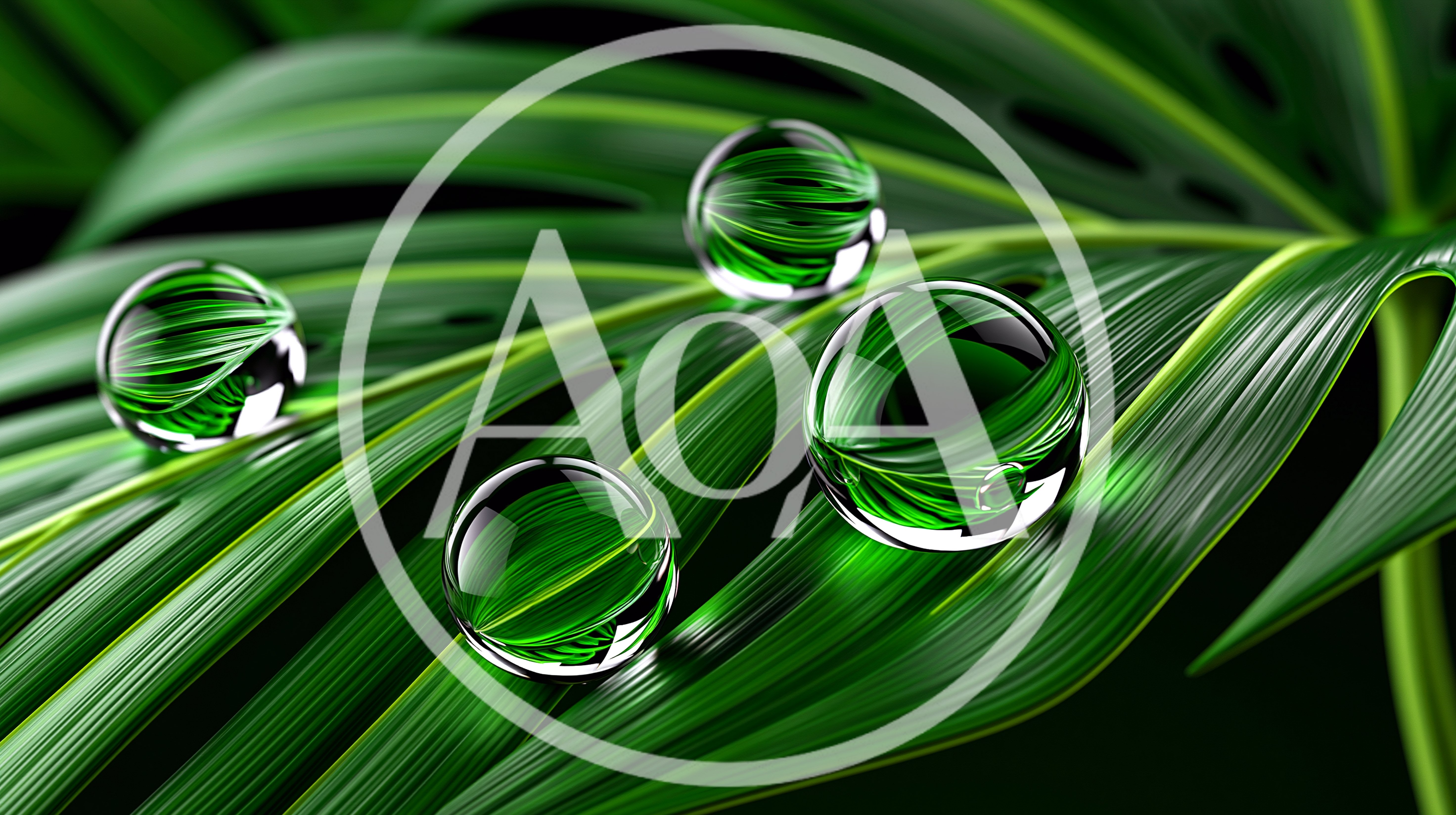 Clear Water Droplets On Vibrant Green Palm Leaf