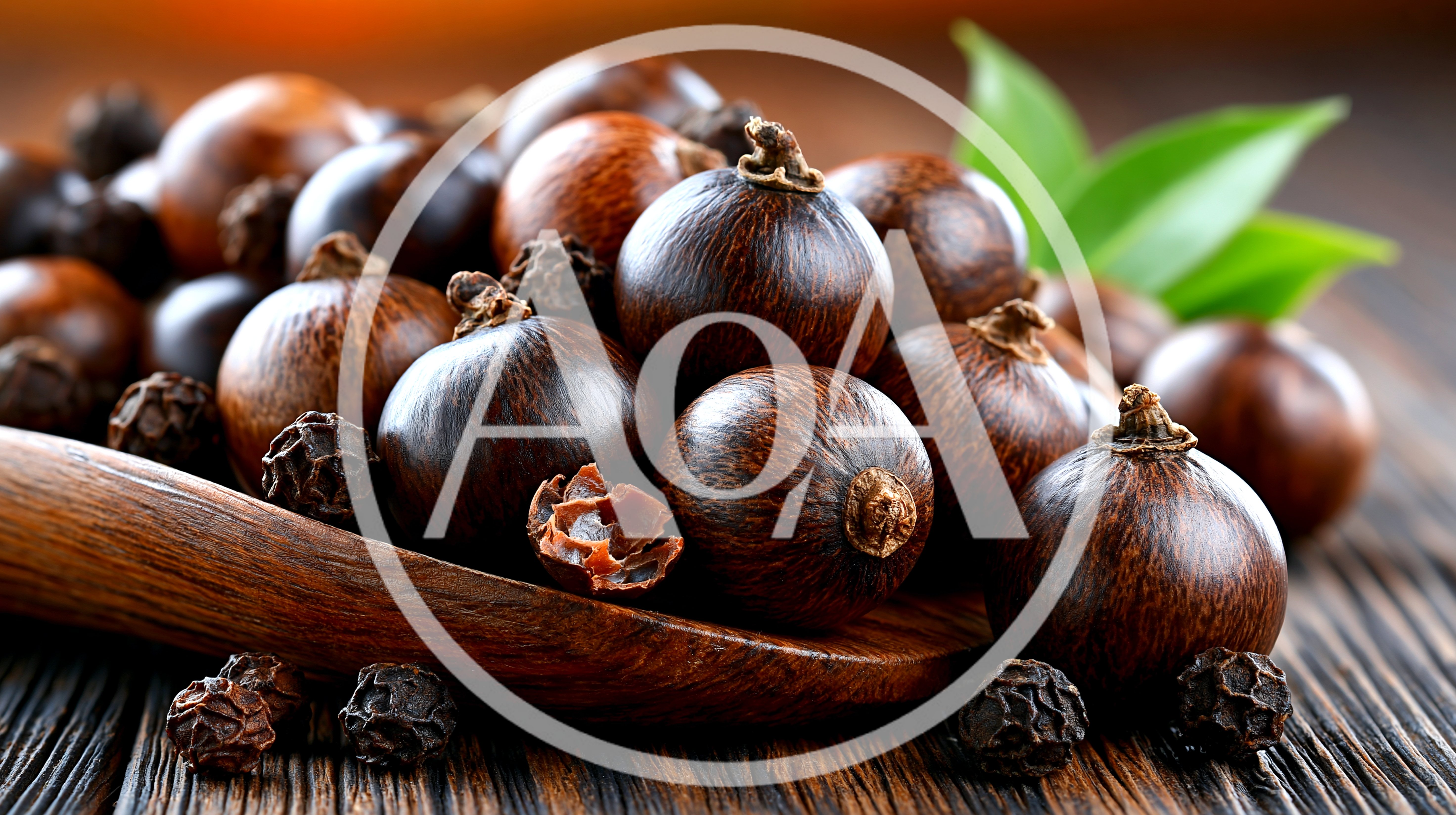 Guarana Seeds and Black Peppercorns on Wooden Spoon