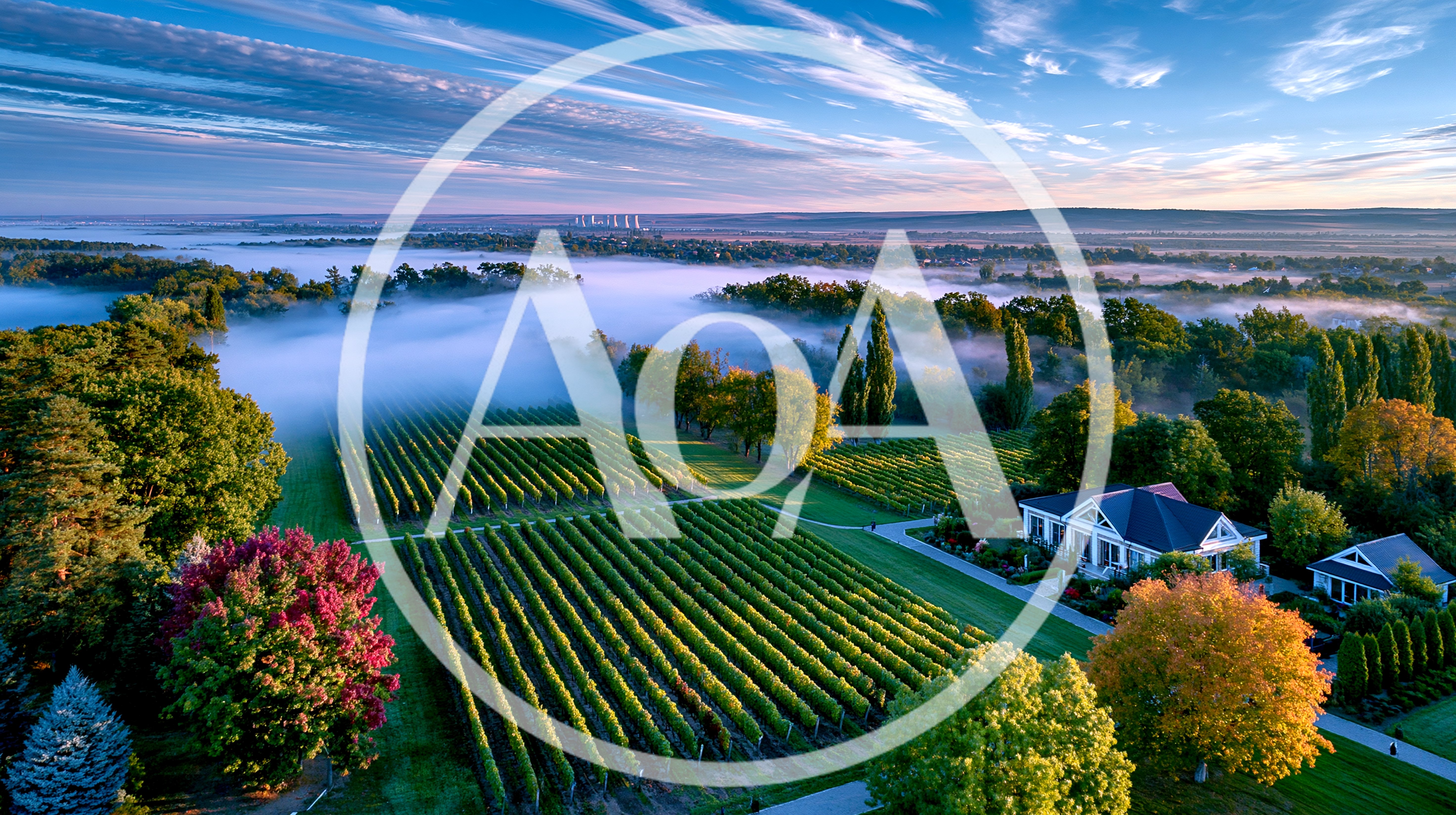 Aerial View Of A Vineyard Estate At Sunrise