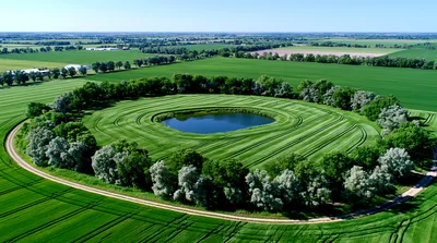 Aerial View Of A Circular Pond Surrounded By Trees