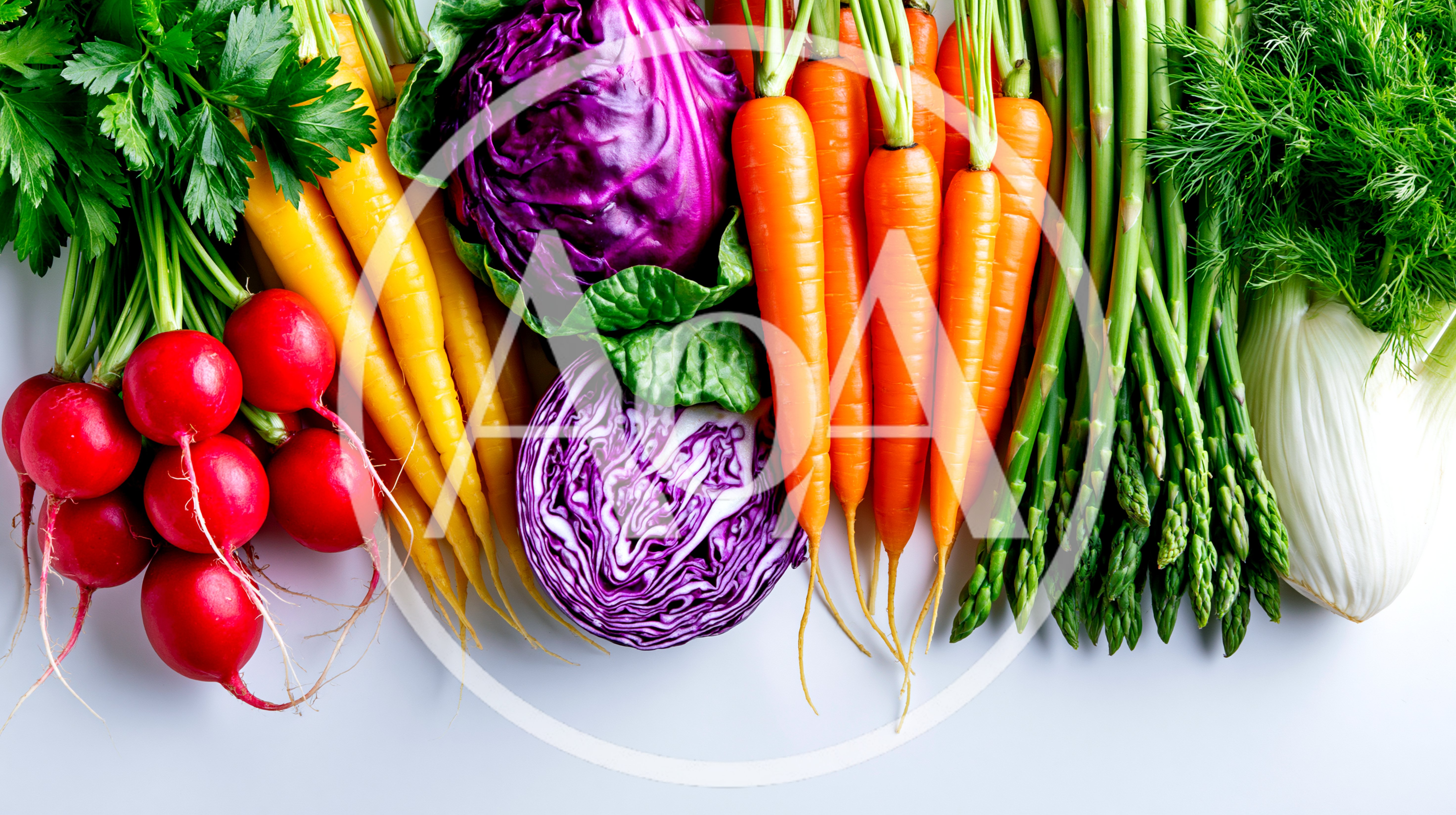 Fresh Organic Vegetables Arranged On A White Background