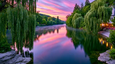 Serene River Landscape With Weeping Willows At Sunset