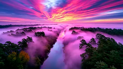Aerial View Of A River Winding Through Misty Forest