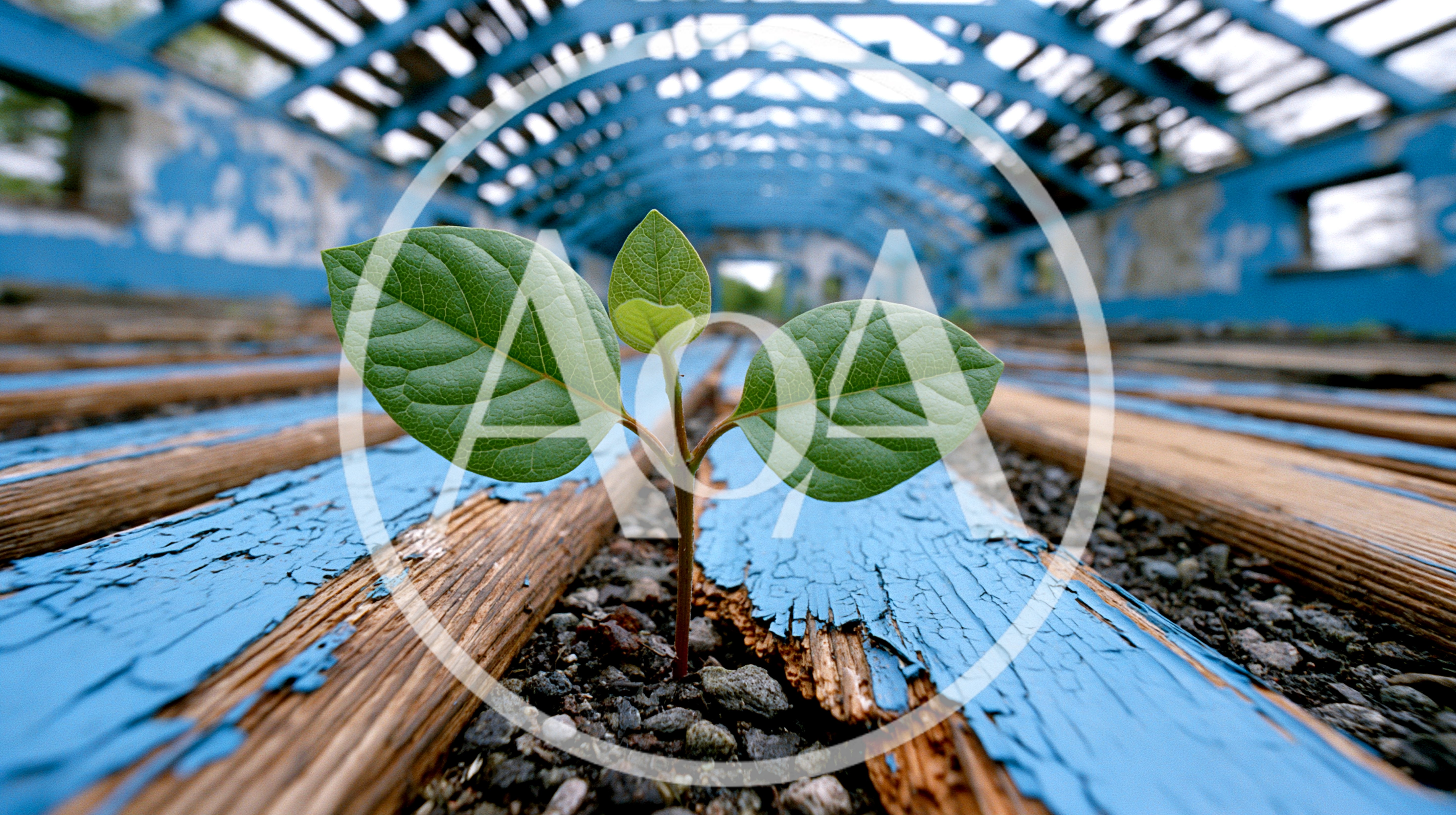 Small Green Plant Growing Through Abandoned Blue Wooden Floor