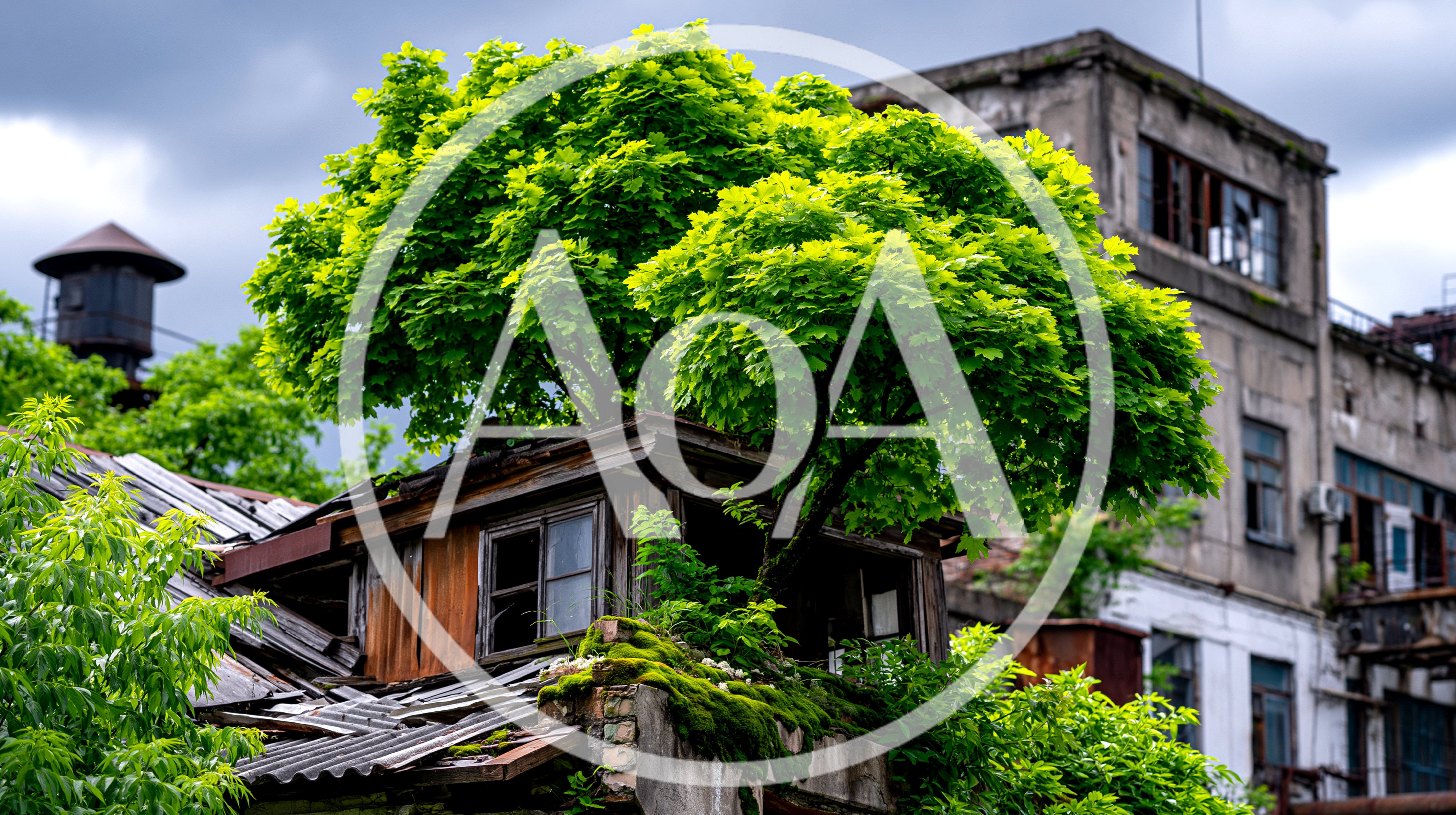 Overgrown Abandoned Building With Tree Growing Through Roof