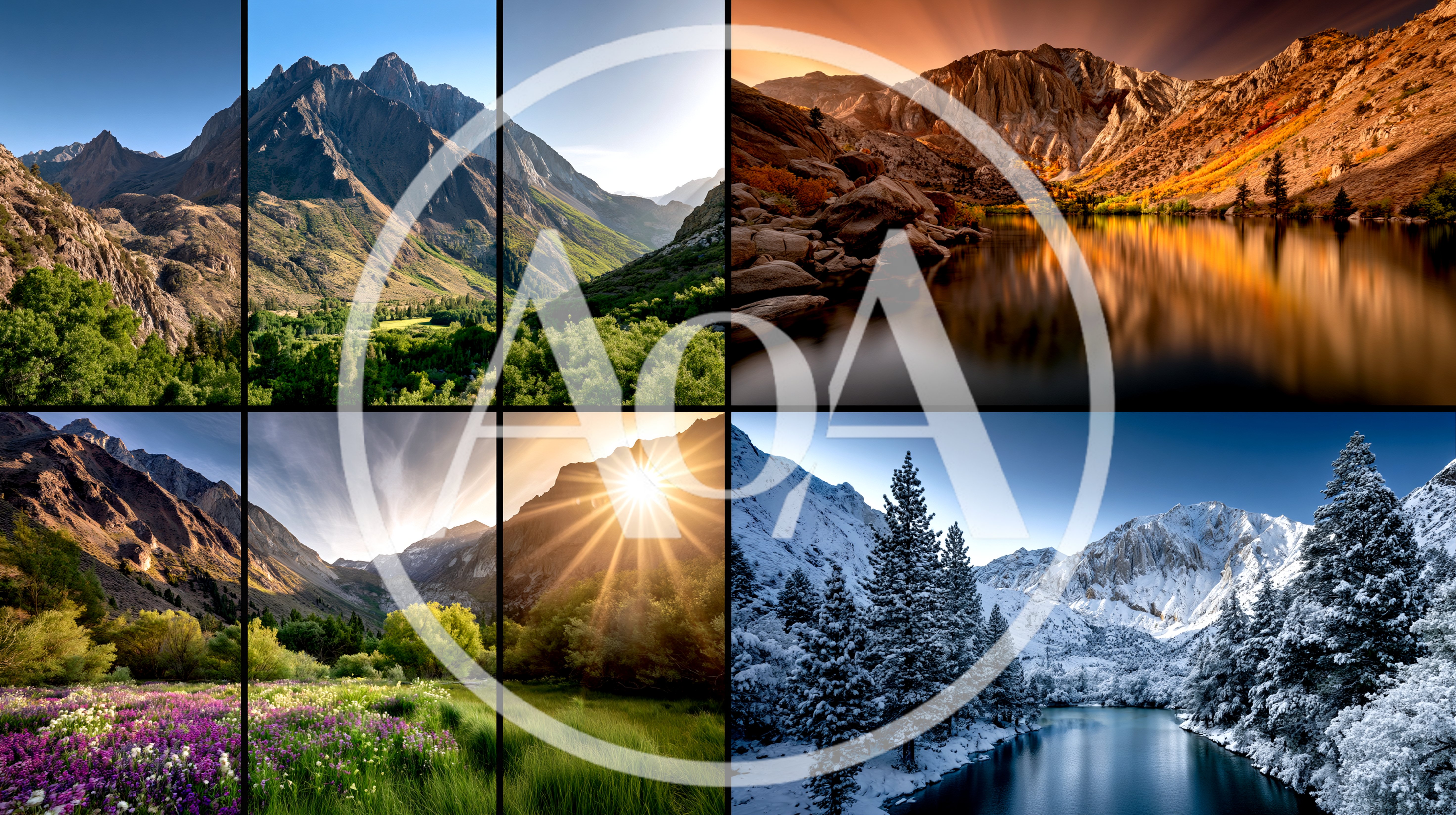 Four Seasons Mountain Landscape Collage