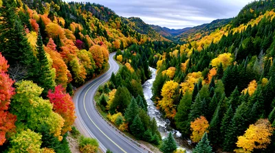 Winding Road Through Autumn Forest With River