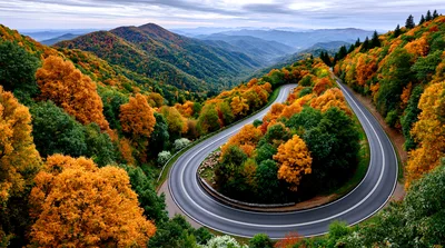 Winding Mountain Road Through Autumn Forest