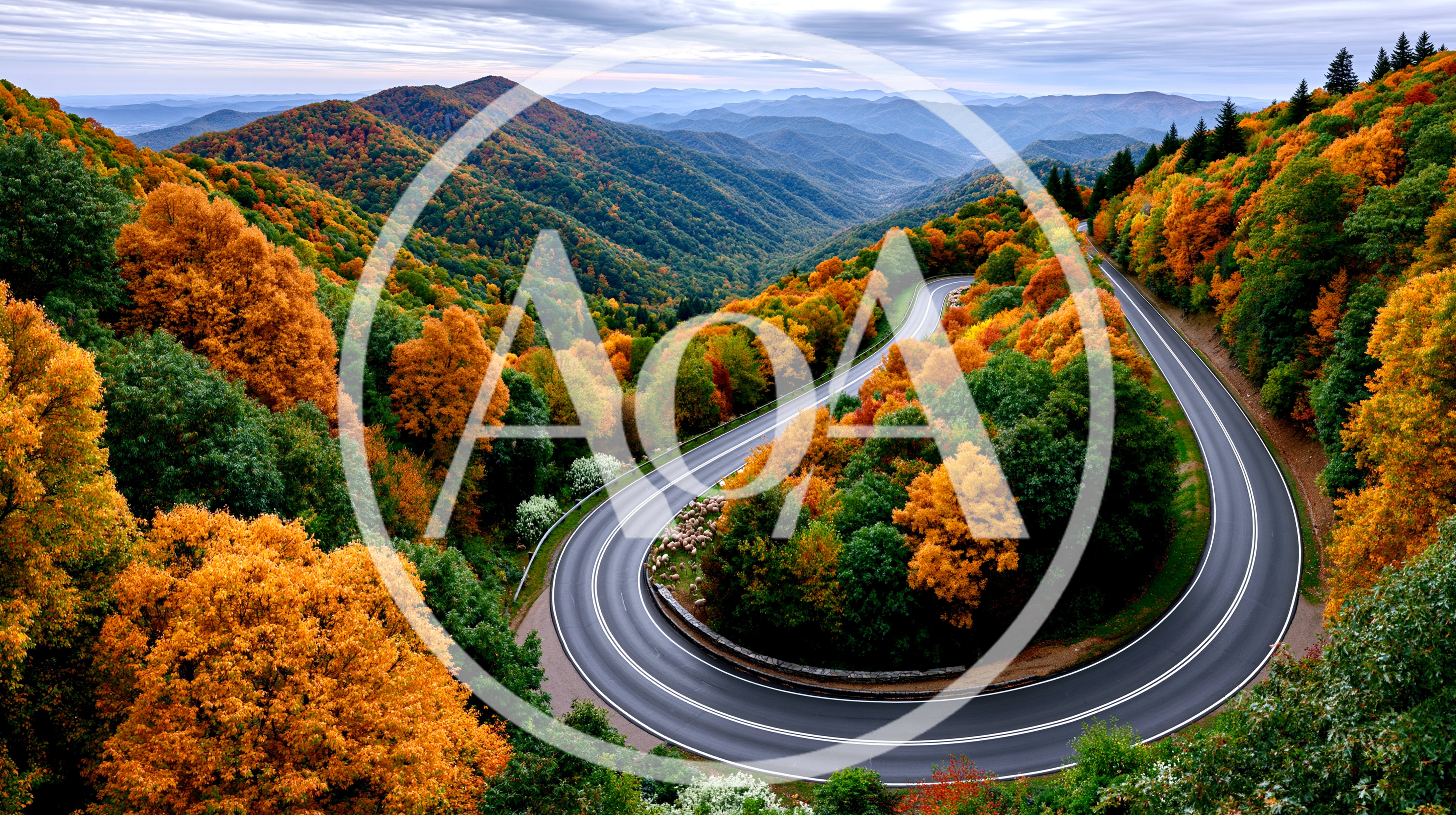 Winding Mountain Road Through Autumn Forest