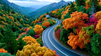 Winding Mountain Road Through Vibrant Autumn Forest