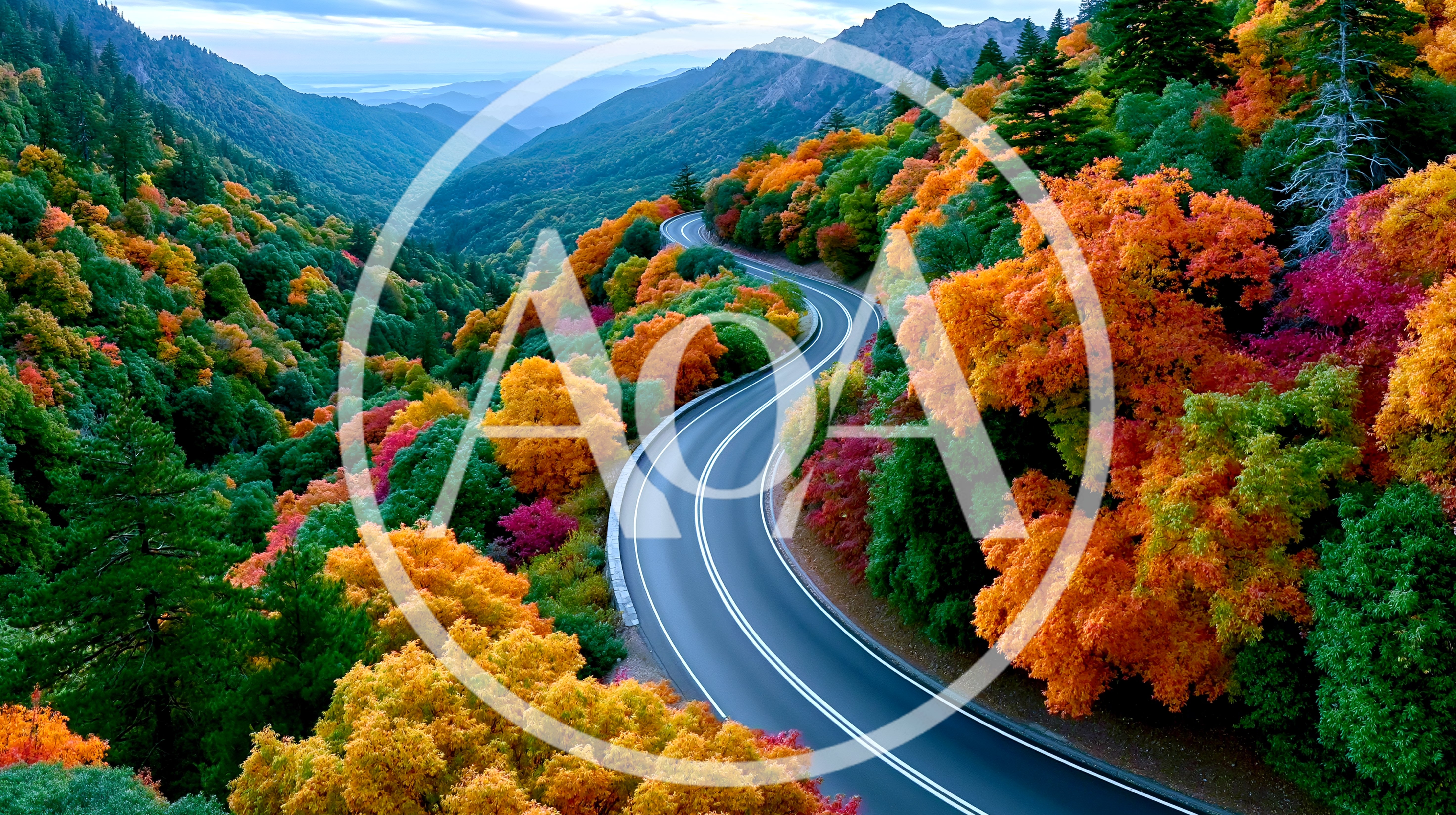 Winding Mountain Road Through Vibrant Autumn Forest