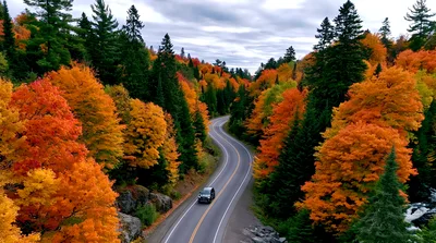 Aerial View Of A Car Driving Through Autumn Forest