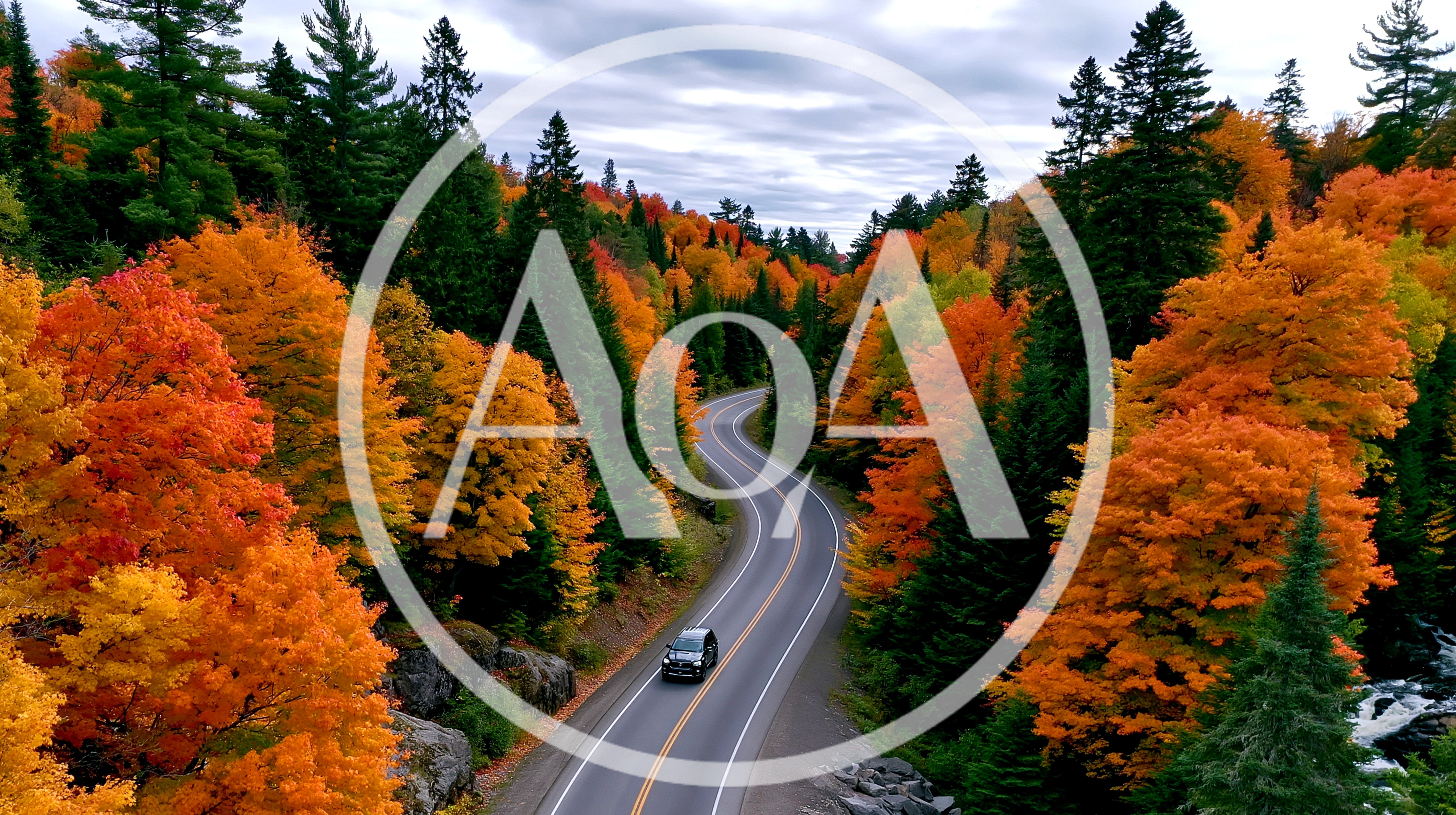Aerial View Of A Car Driving Through Autumn Forest