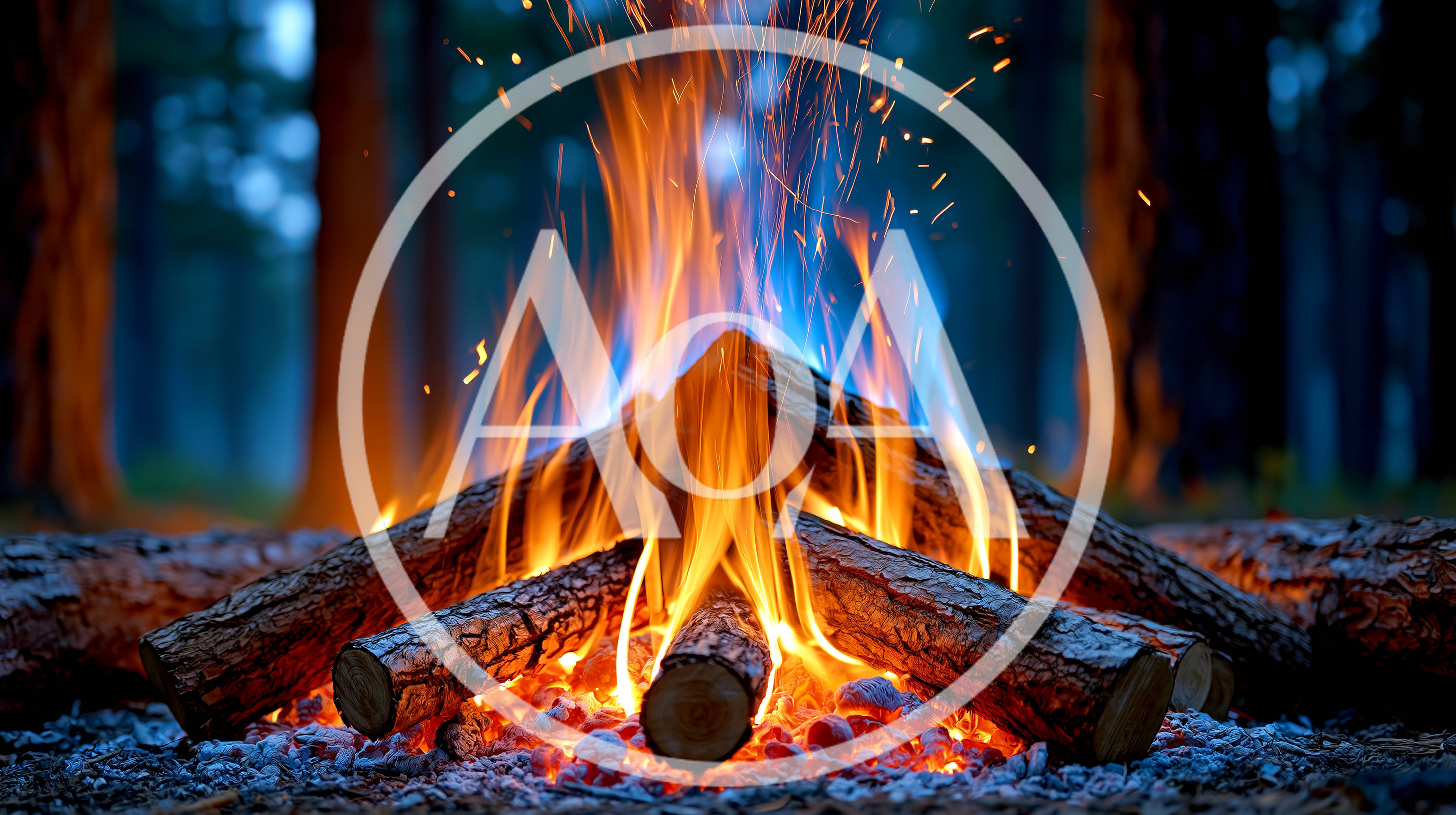 Bright Campfire Burning In A Dark Forest