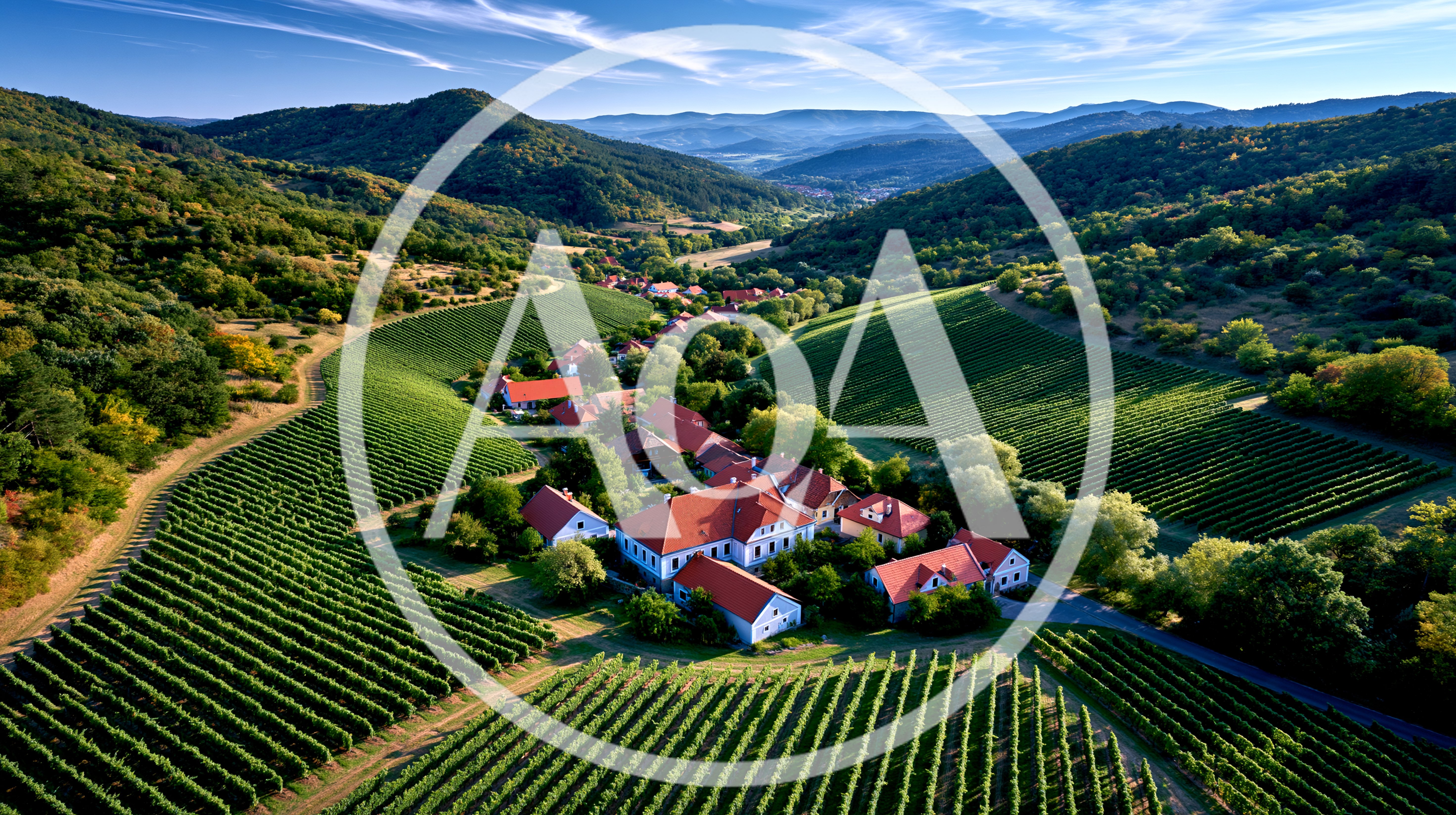 Aerial View Of A Vineyard Estate In A Valley
