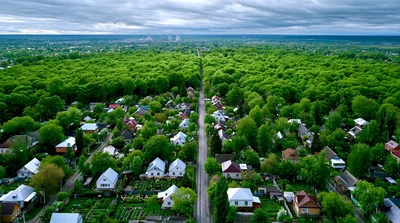 Aerial View Of A Suburban Neighborhood Bordering A Forest