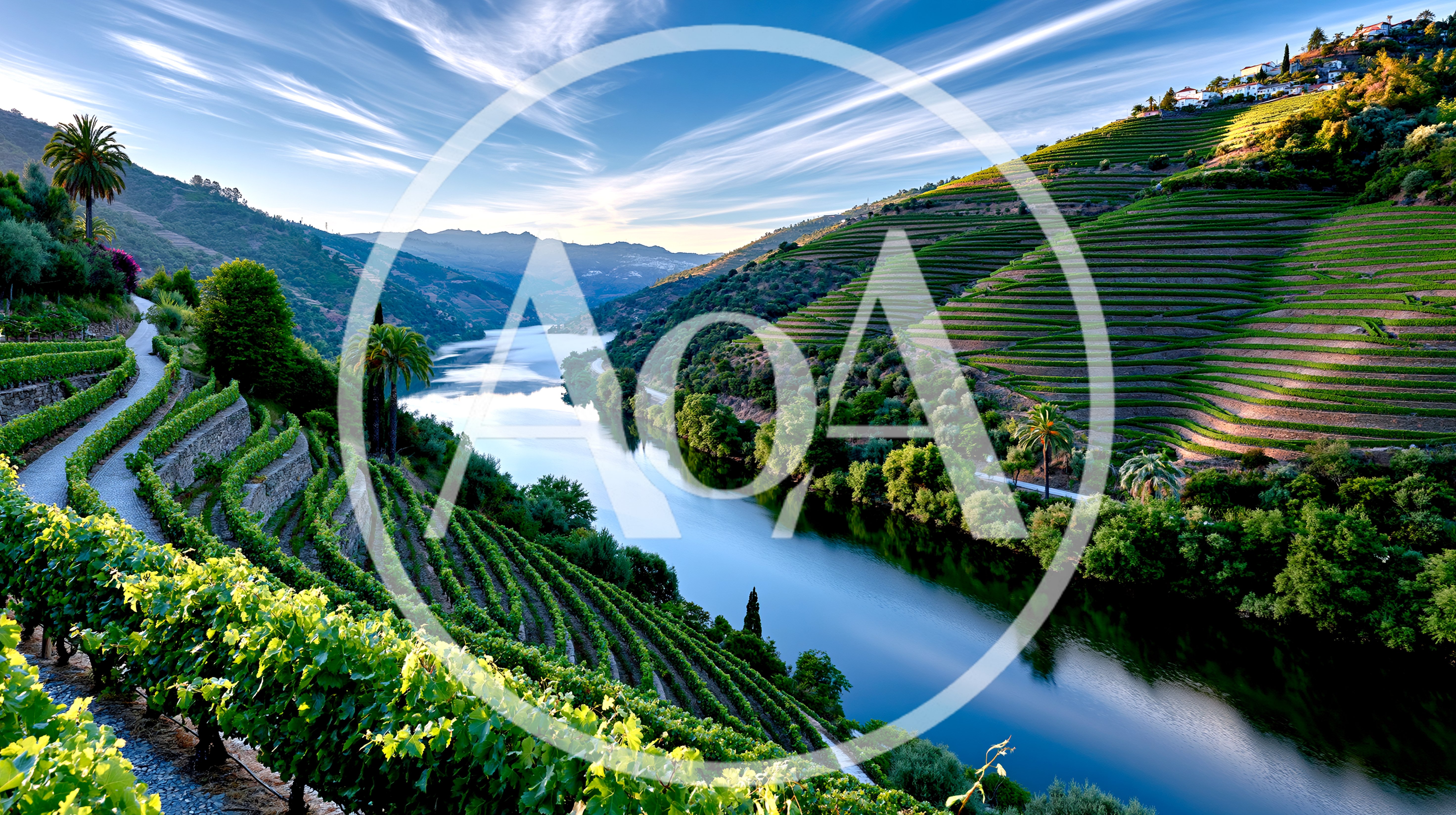 Terraced Vineyards Along The Douro River Valley