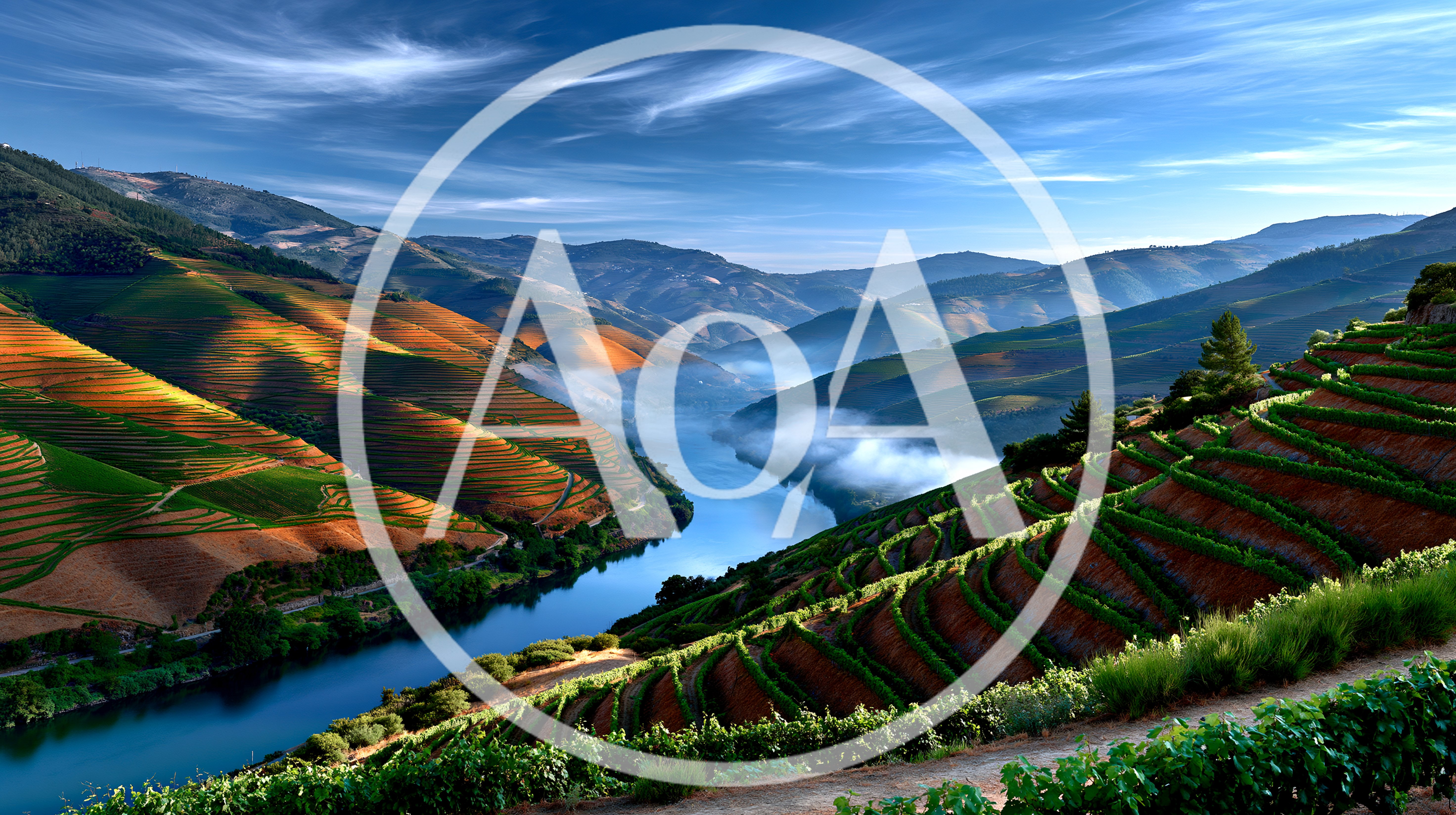 Terraced Vineyards Along The Douro River Valley Portugal