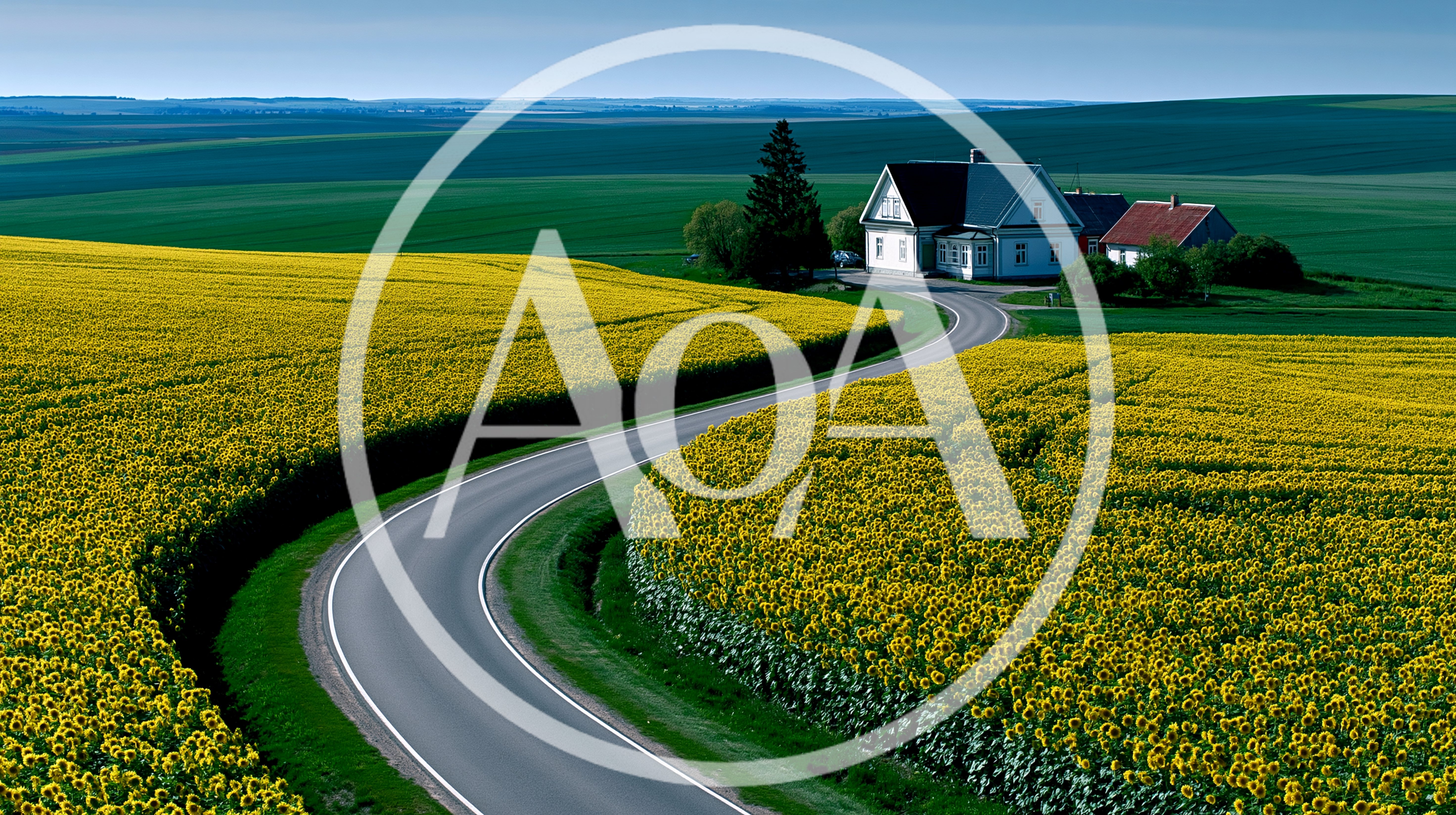 Winding Road Through Vibrant Yellow Rapeseed Fields