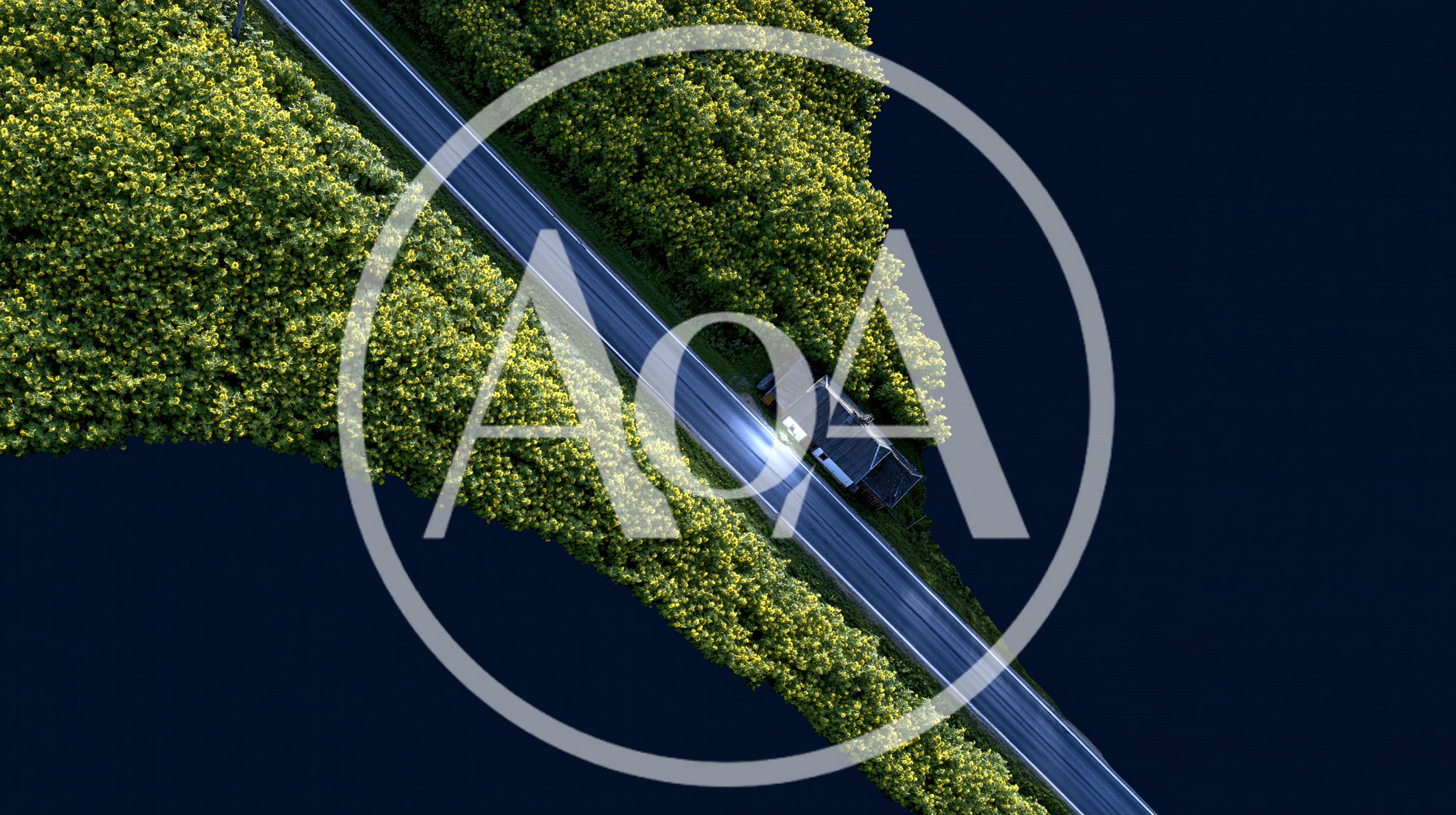 Aerial View Of A Car Driving On A Forest Road