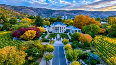 Aerial View Of A Grand Estate Vineyard In Autumn