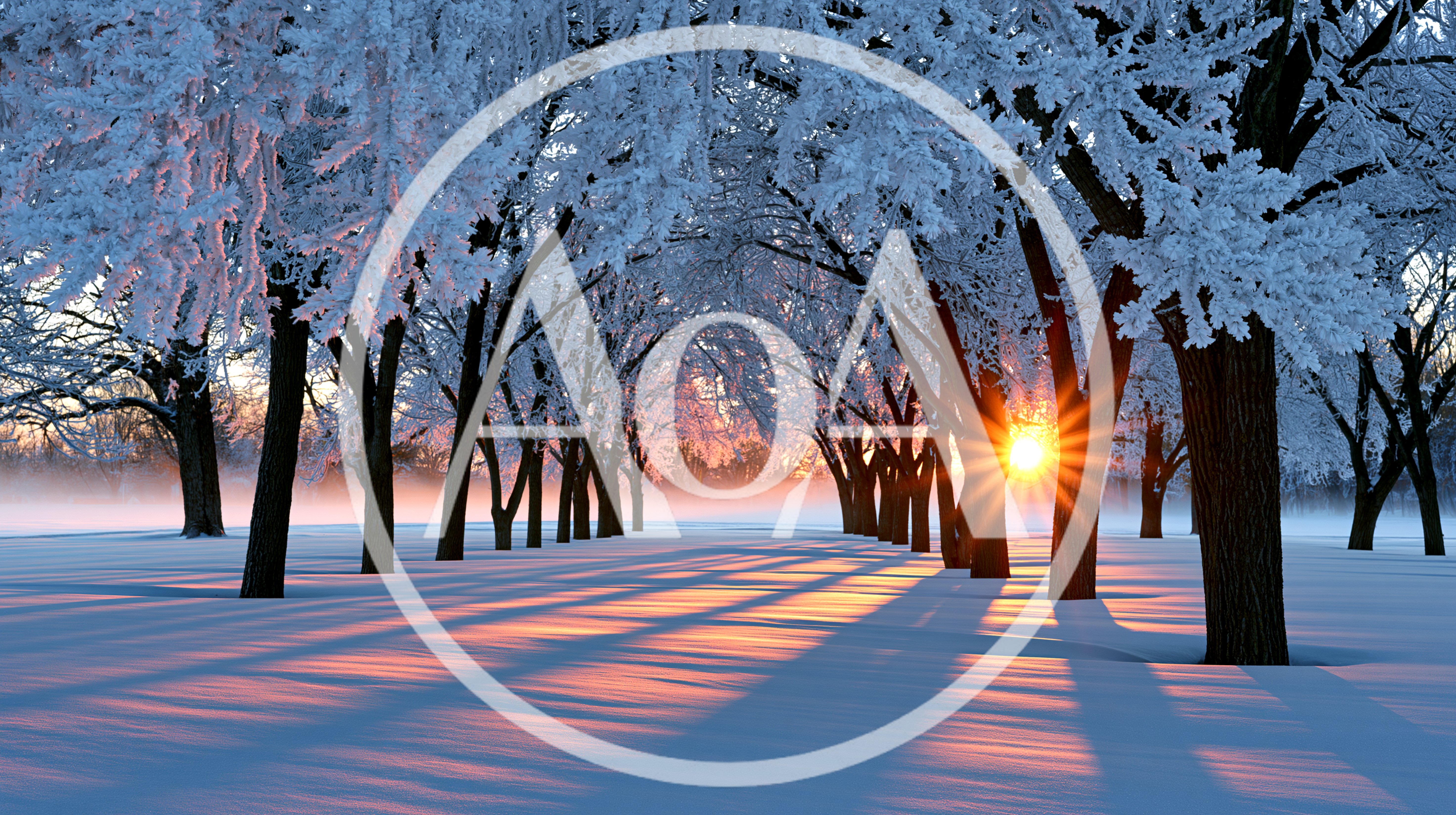 Winter Sunrise Through Snow Covered Trees
