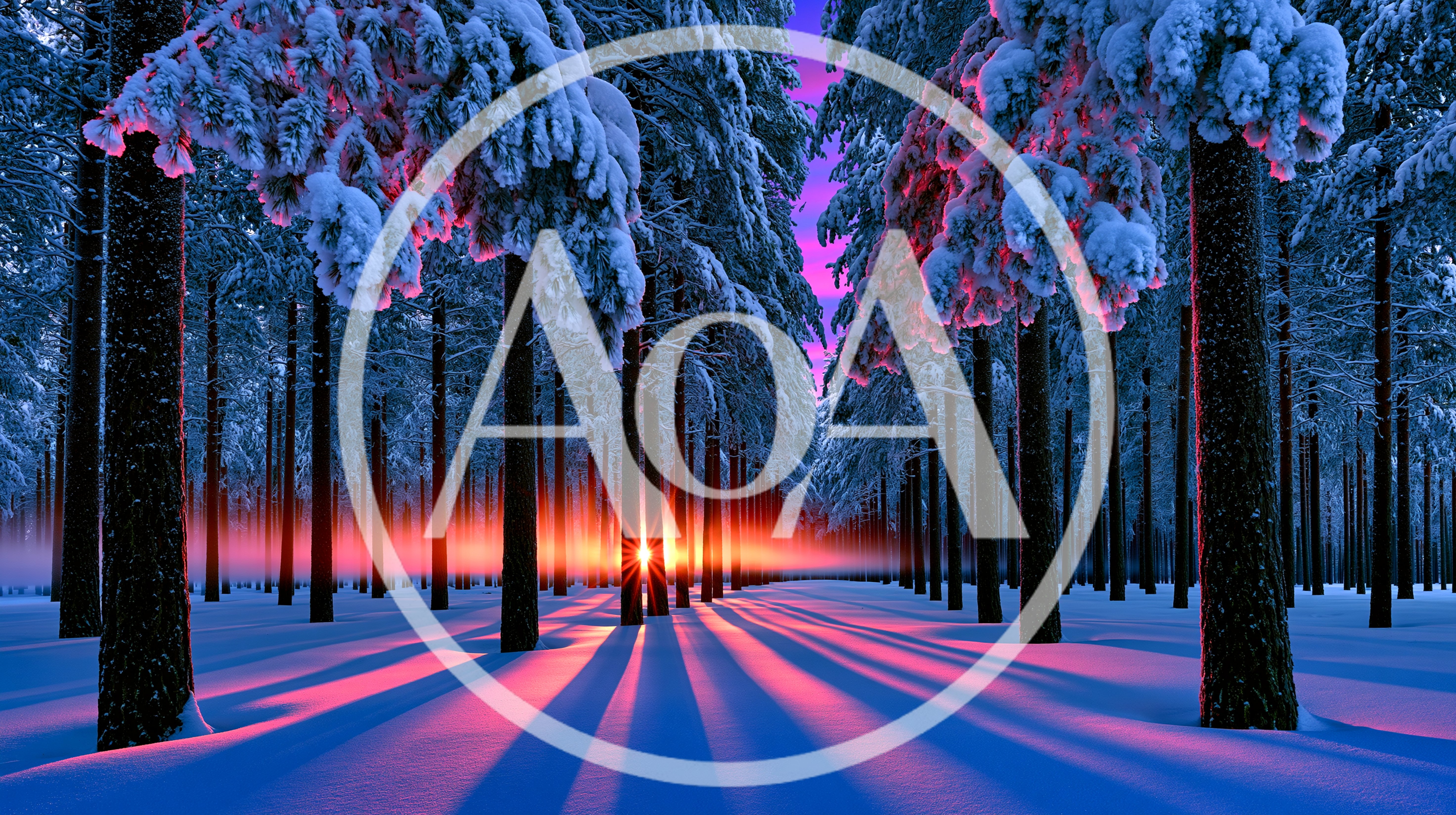 Winter Forest Landscape With Glowing Sunset Light