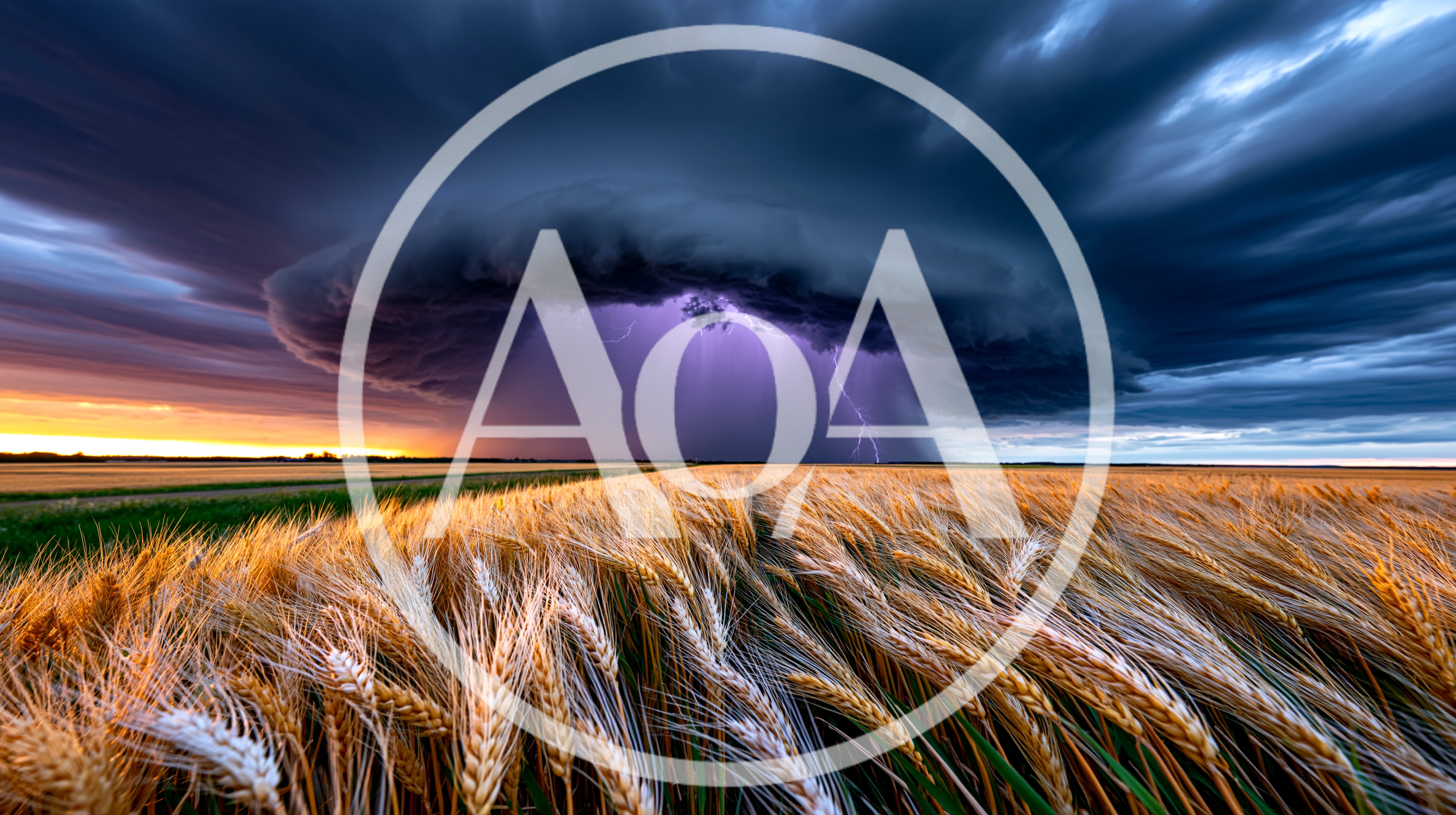 Supercell Thunderstorm Over A Golden Wheat Field