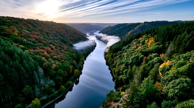 Aerial View Of A Winding River Through Autumn Forest