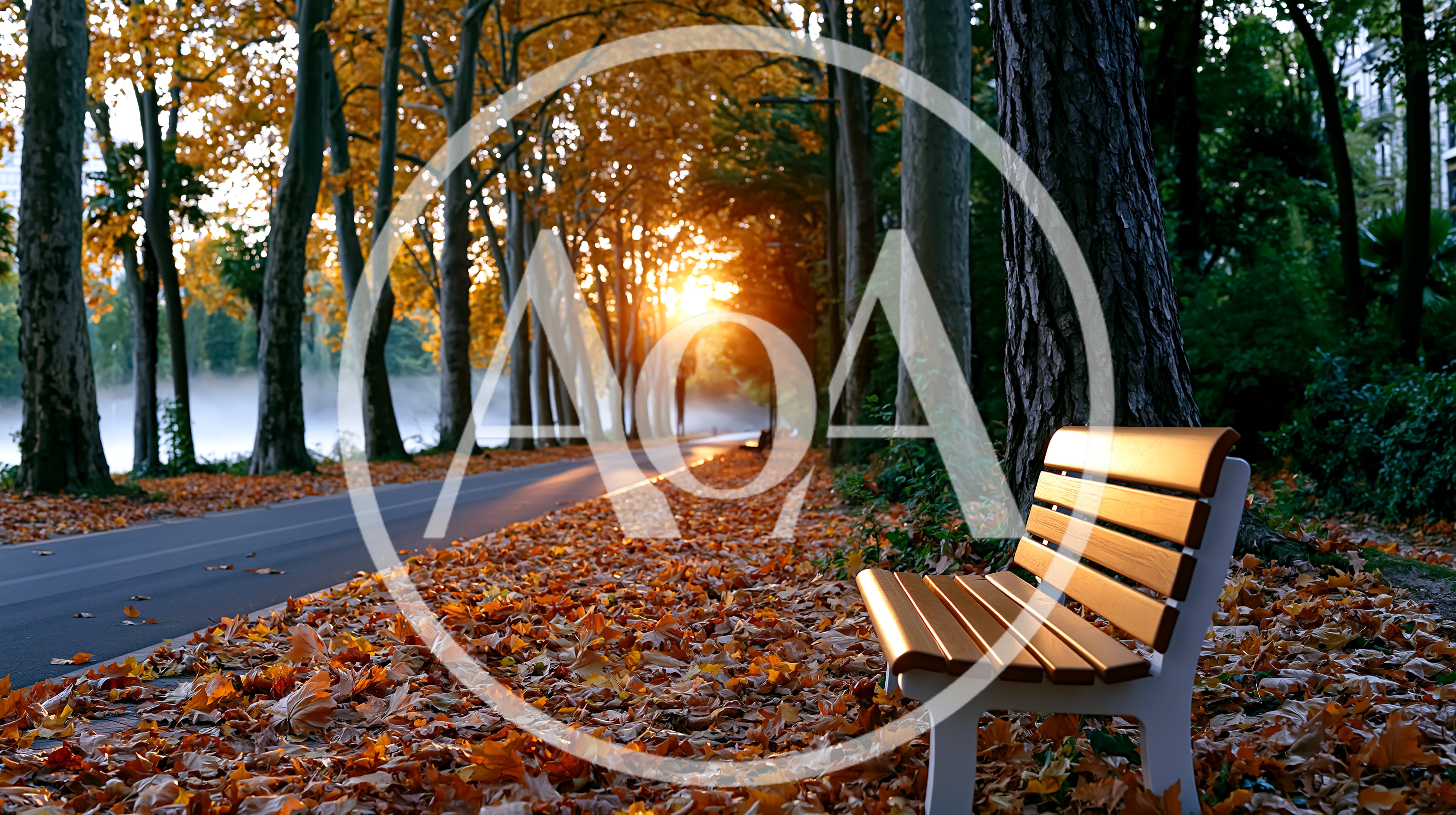 Empty Park Bench On A Sunny Autumn Day