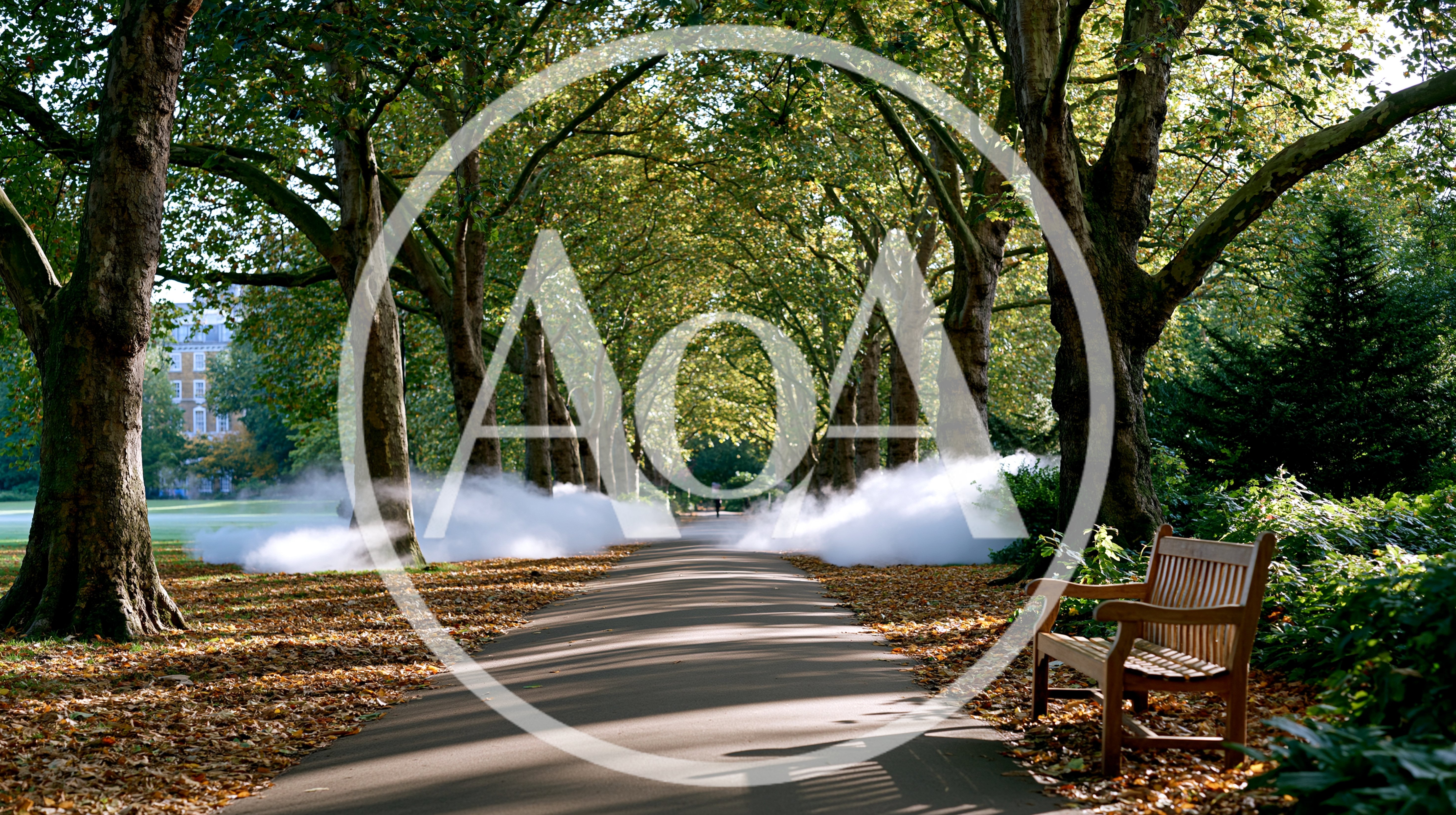 Foggy Tree Lined Path In A Public Park