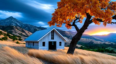 White Wooden Cabin In Golden Grass Field At Sunset