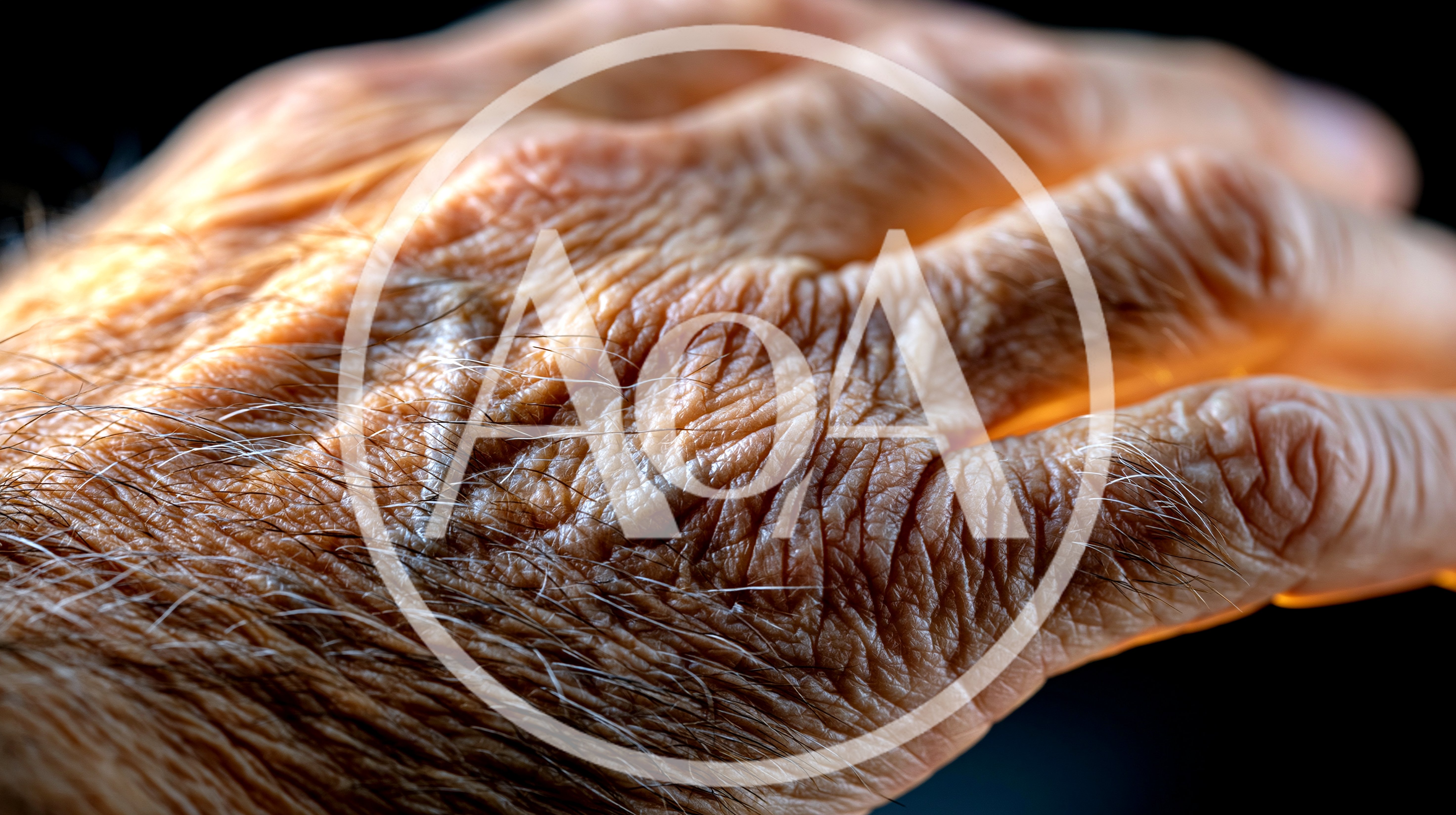 Close Up Of Elderly Person Hand With Wrinkled Skin
