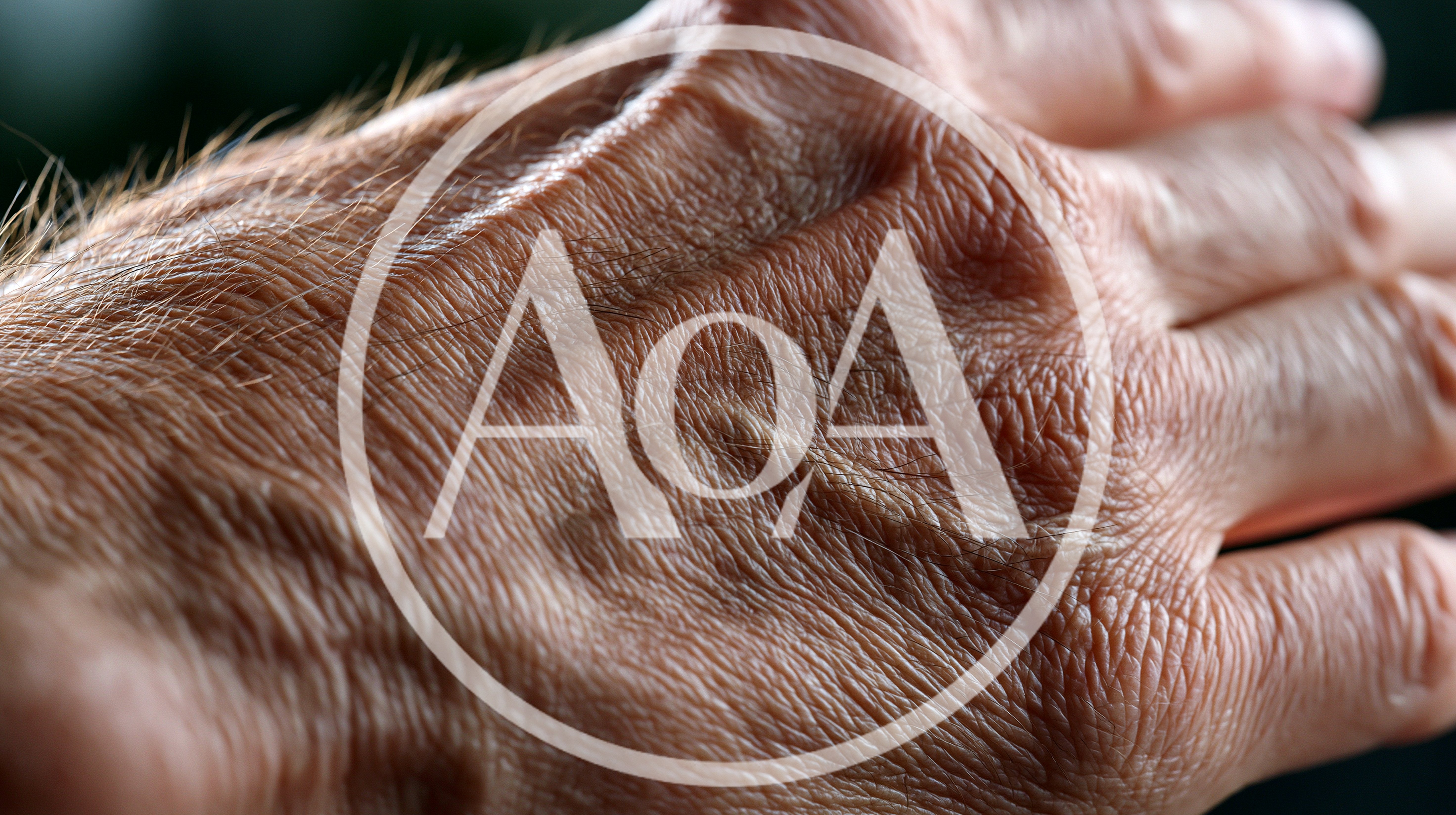 Close Up Of Aging Human Hand Skin Texture