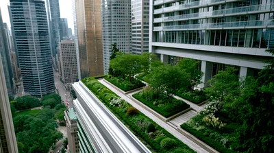 Modern Rooftop Garden Terrace Overlooking City Skyscrapers